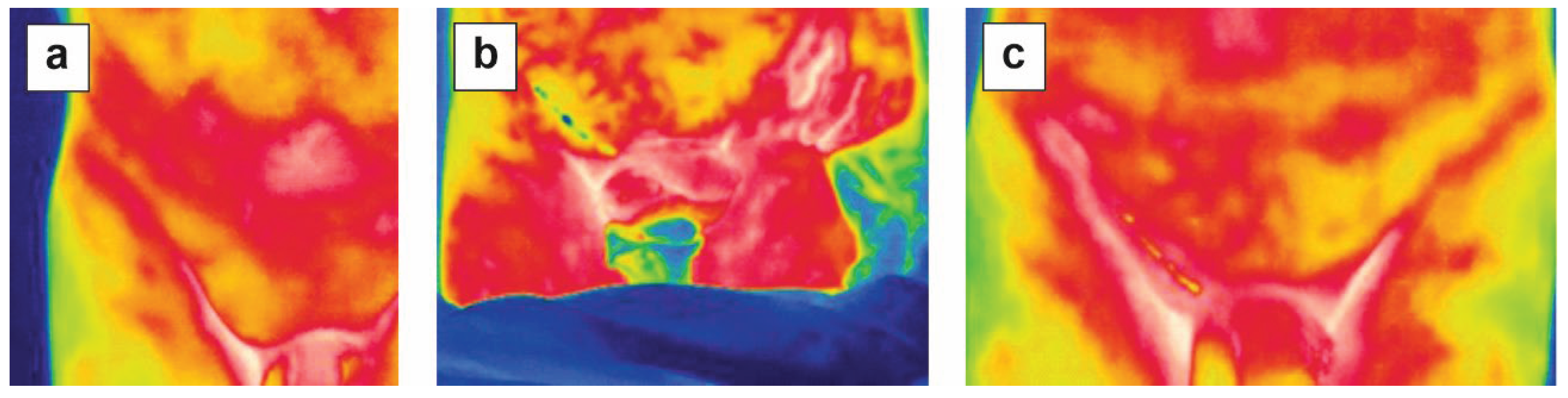 Preprints 201338 g003