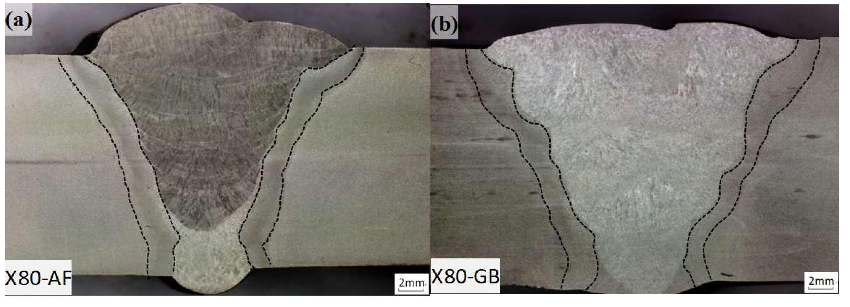 Preprints 196803 g001