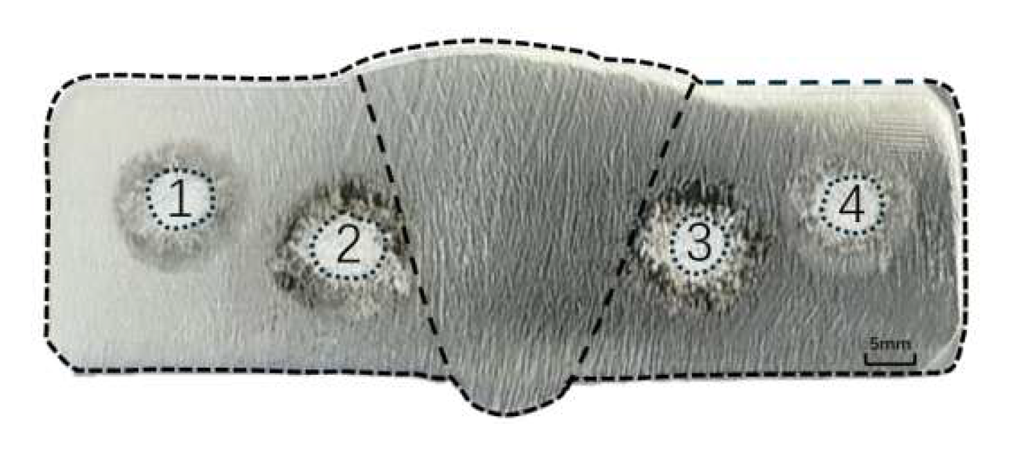 Preprints 196803 g002
