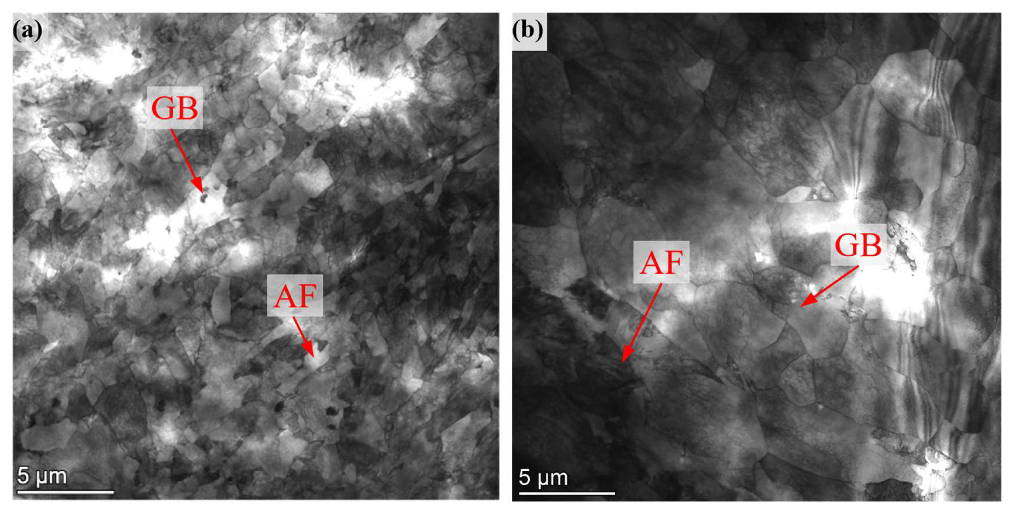 Preprints 196803 g006