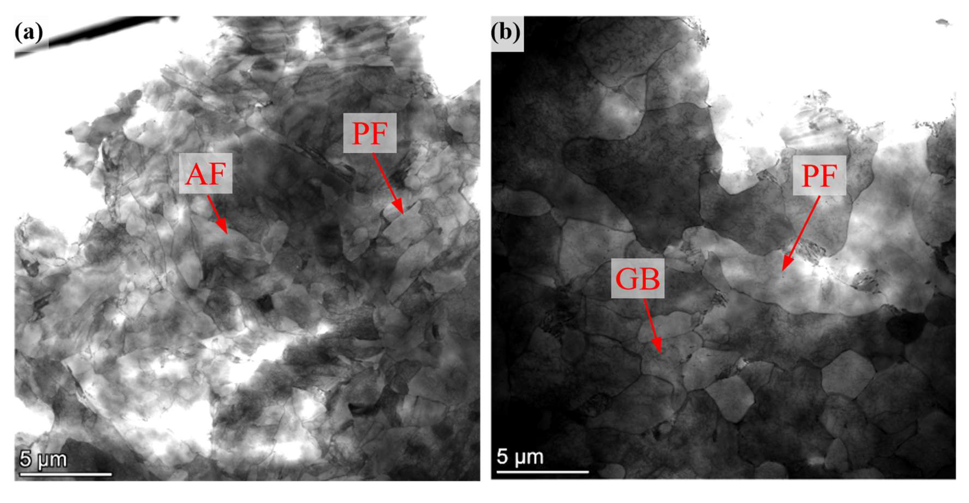 Preprints 196803 g008