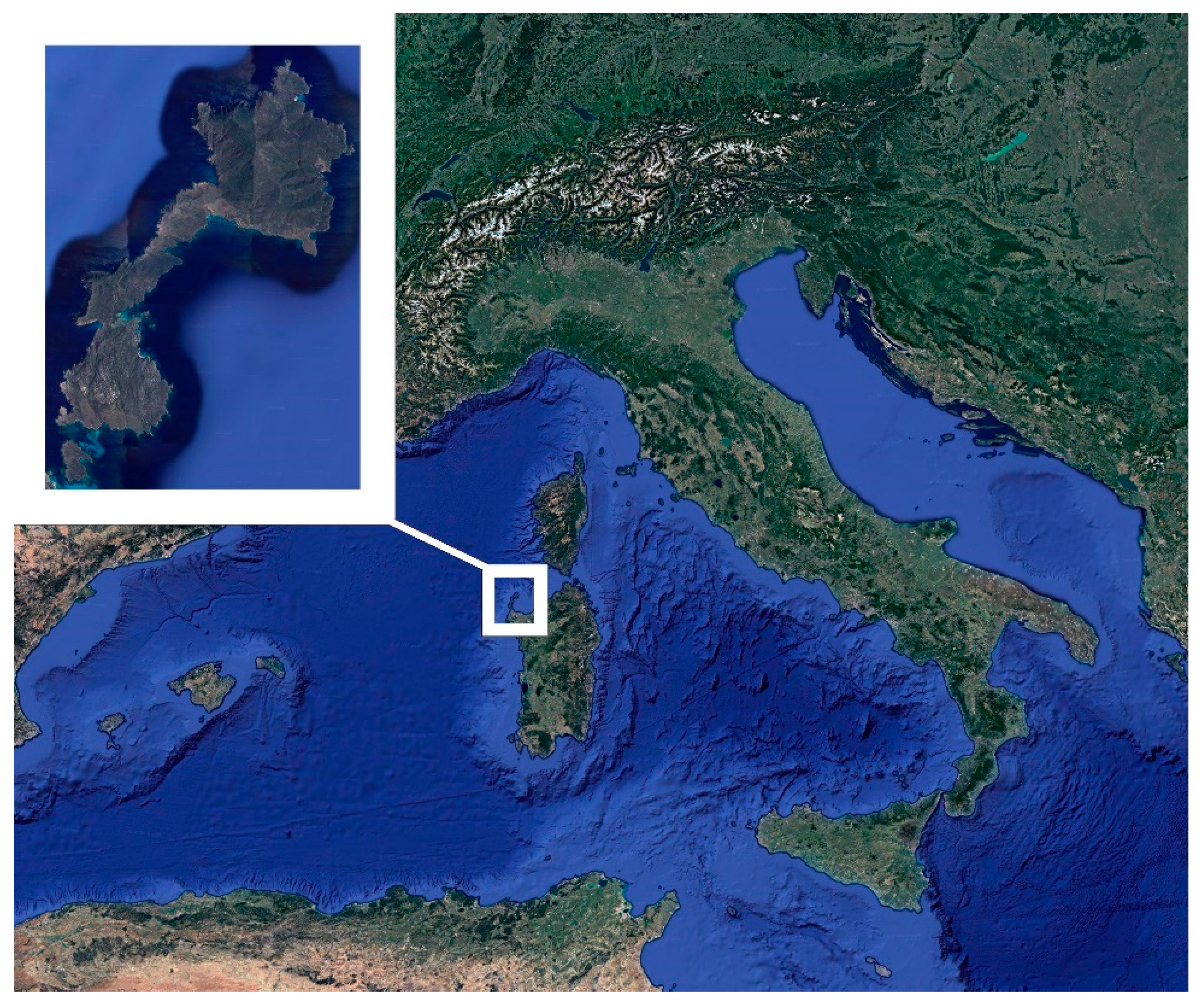Preprints 89502 g001