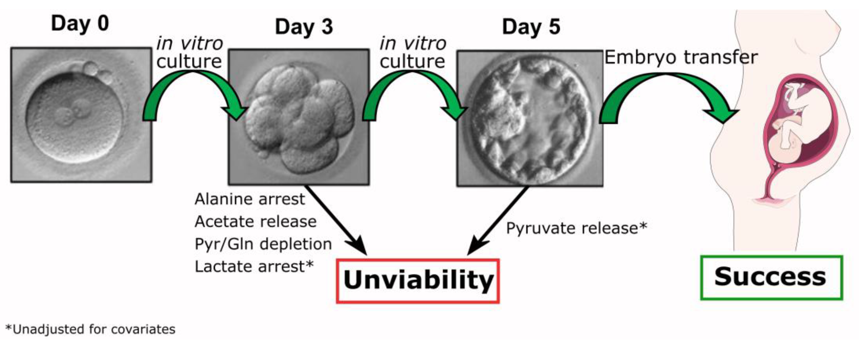 Preprints 81063 g004