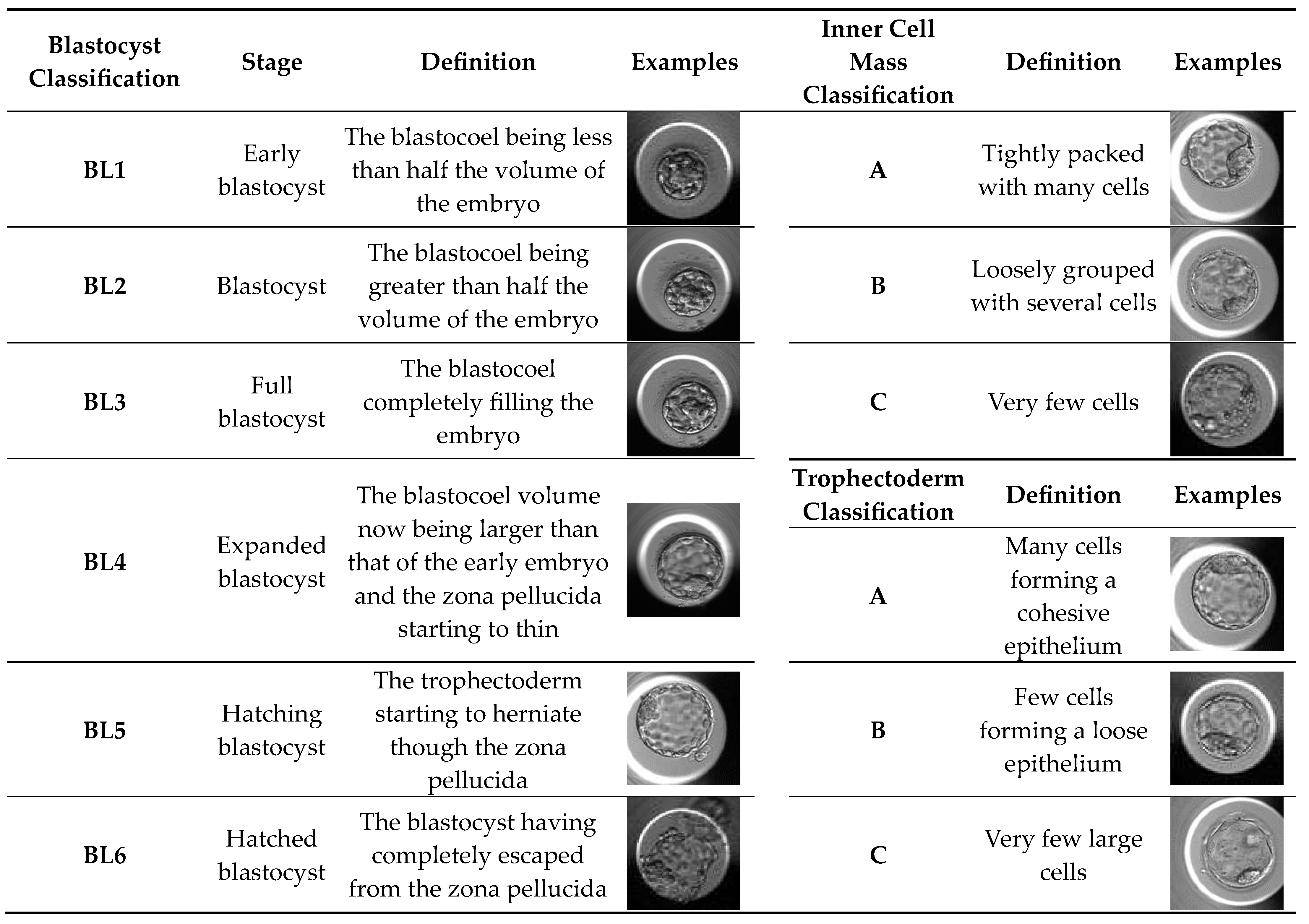 Preprints 81063 i001