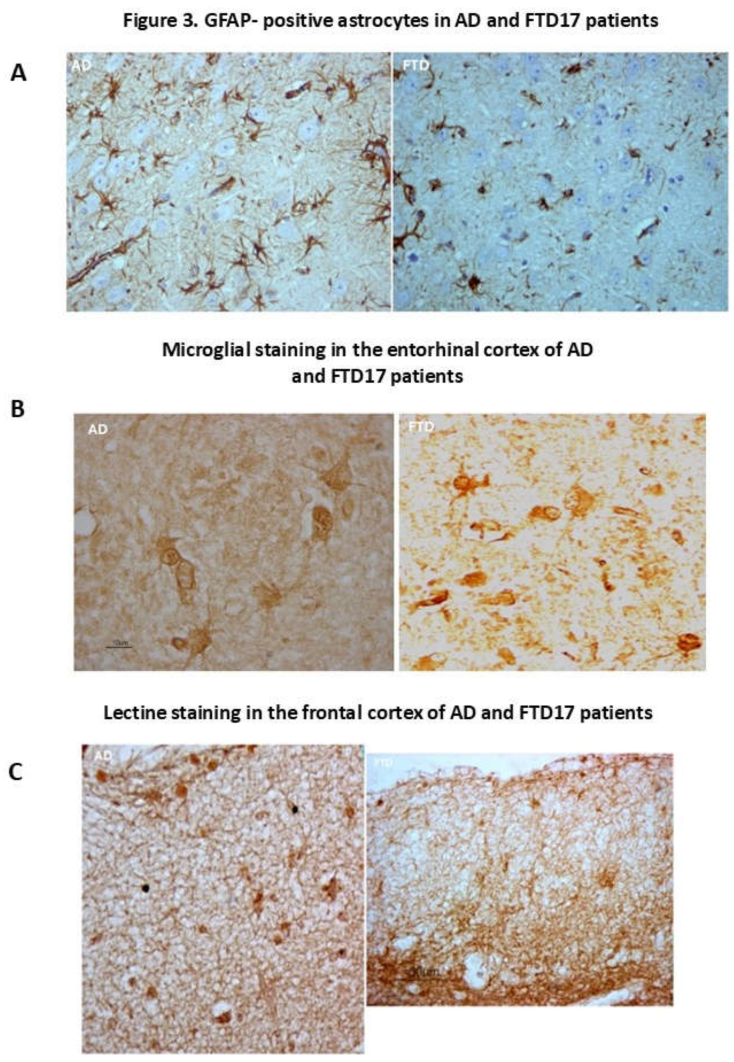 Preprints 192421 g003