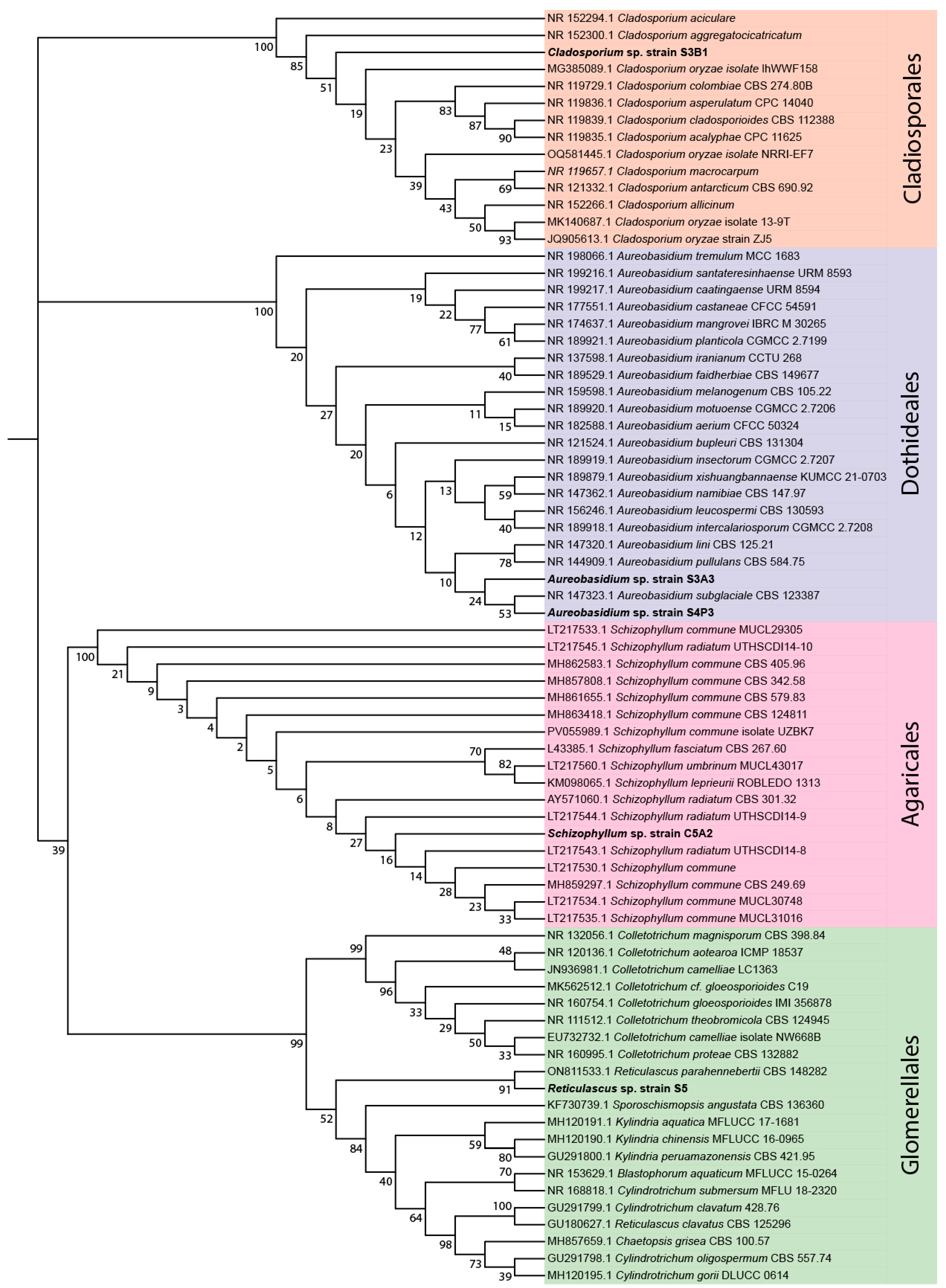 Preprints 220242 g001 Preprints 220242 g001