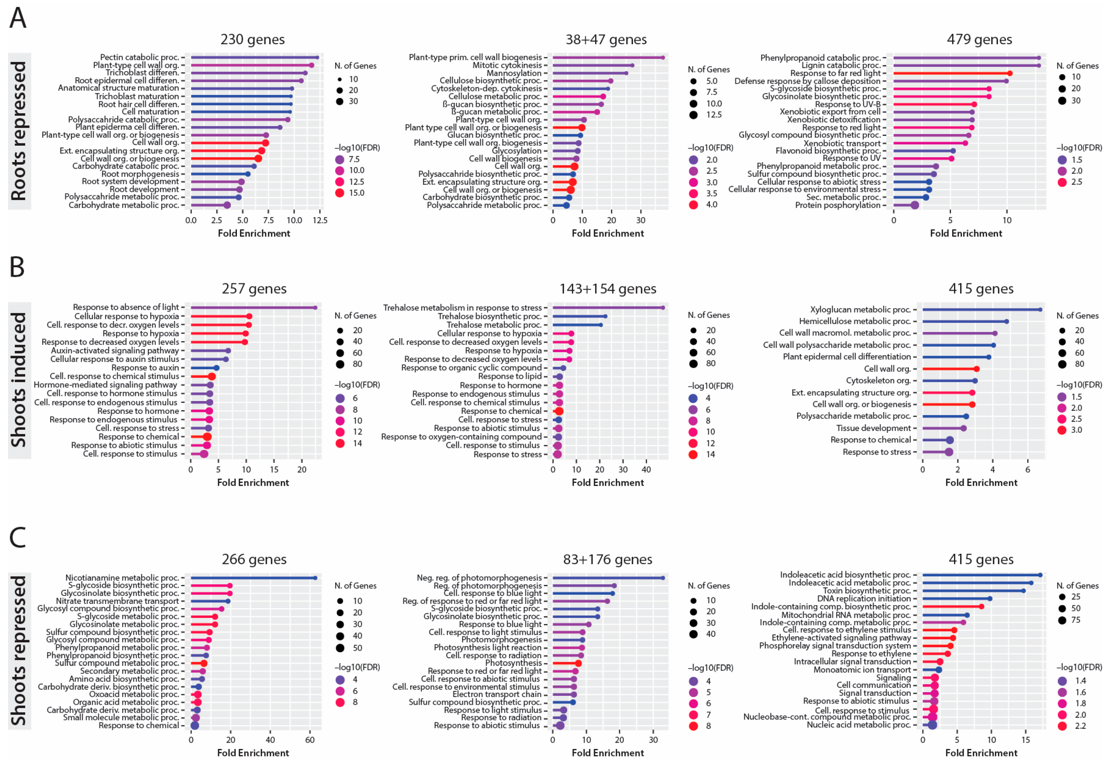 Preprints 220242 g004 Preprints 220242 g004
