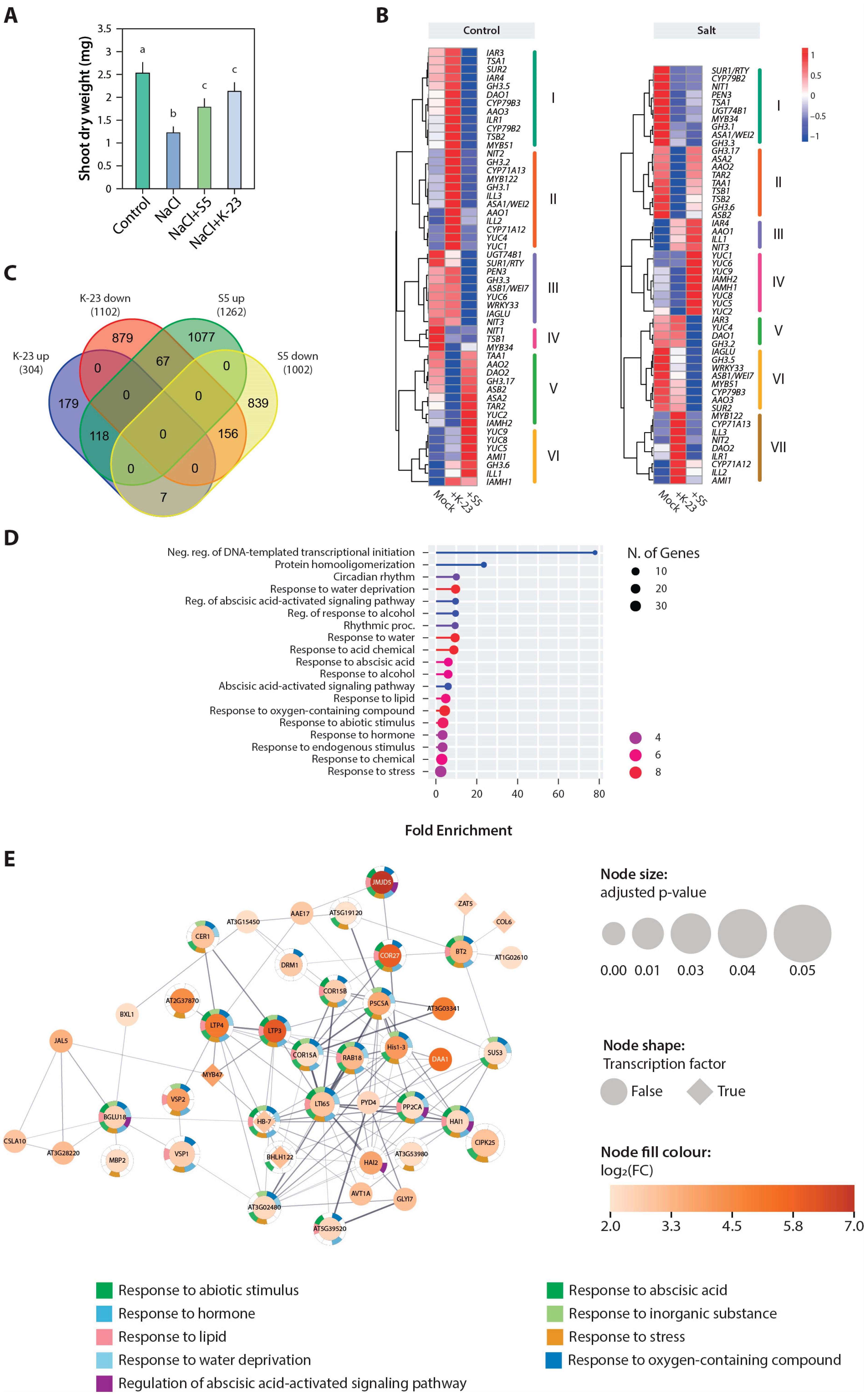 Preprints 220242 g006 Preprints 220242 g006