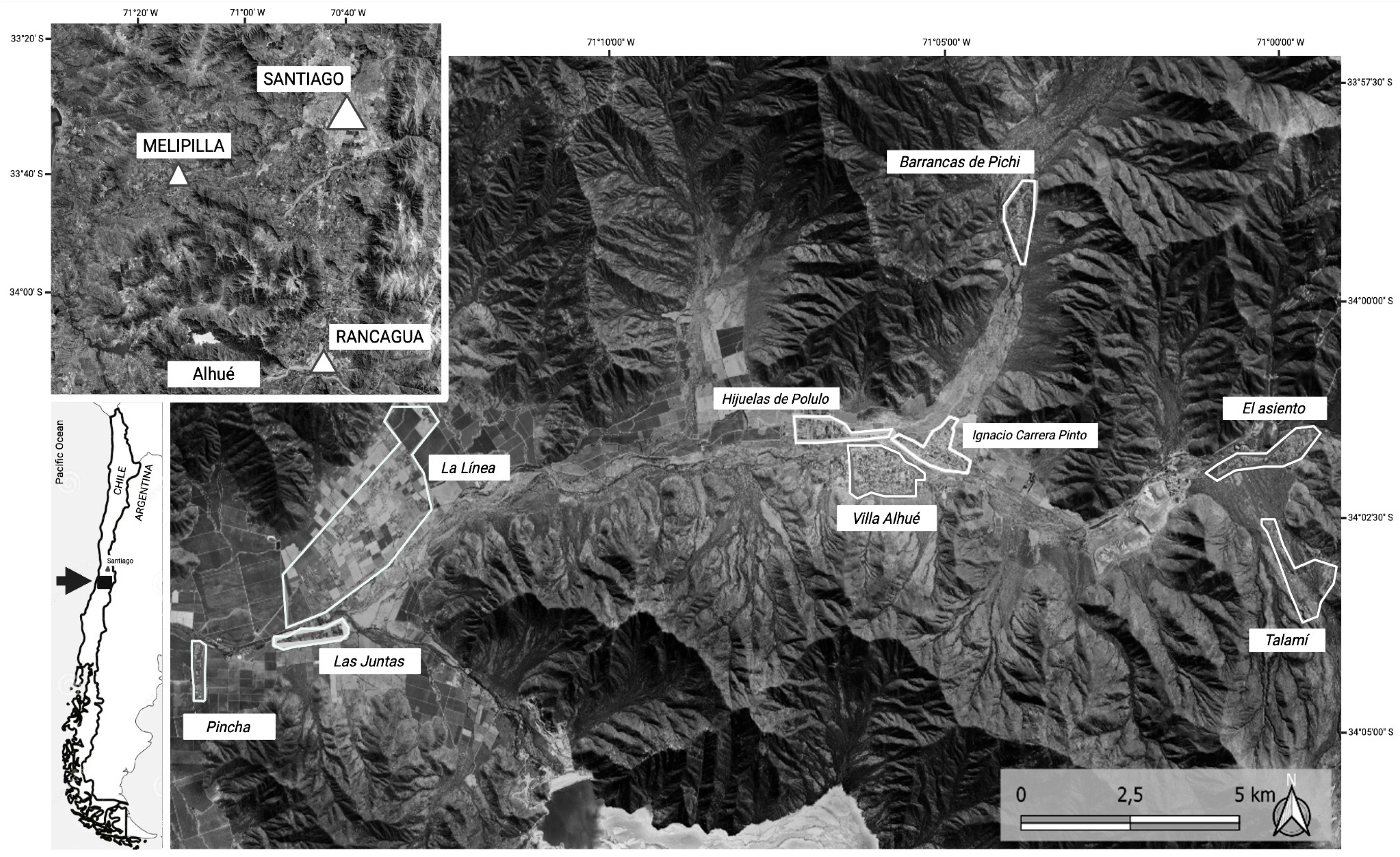 Preprints 194693 g001