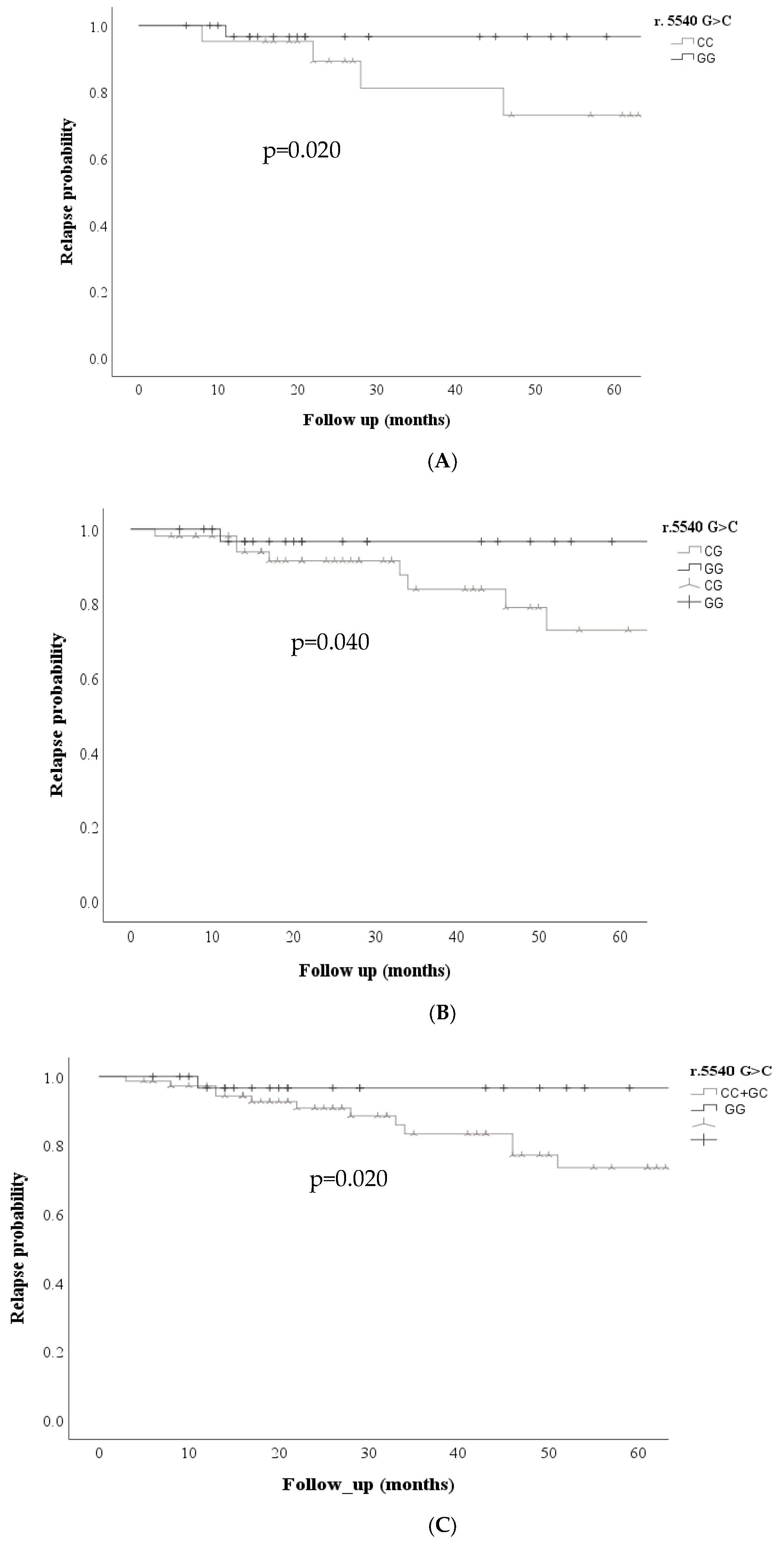 Preprints 161458 g002