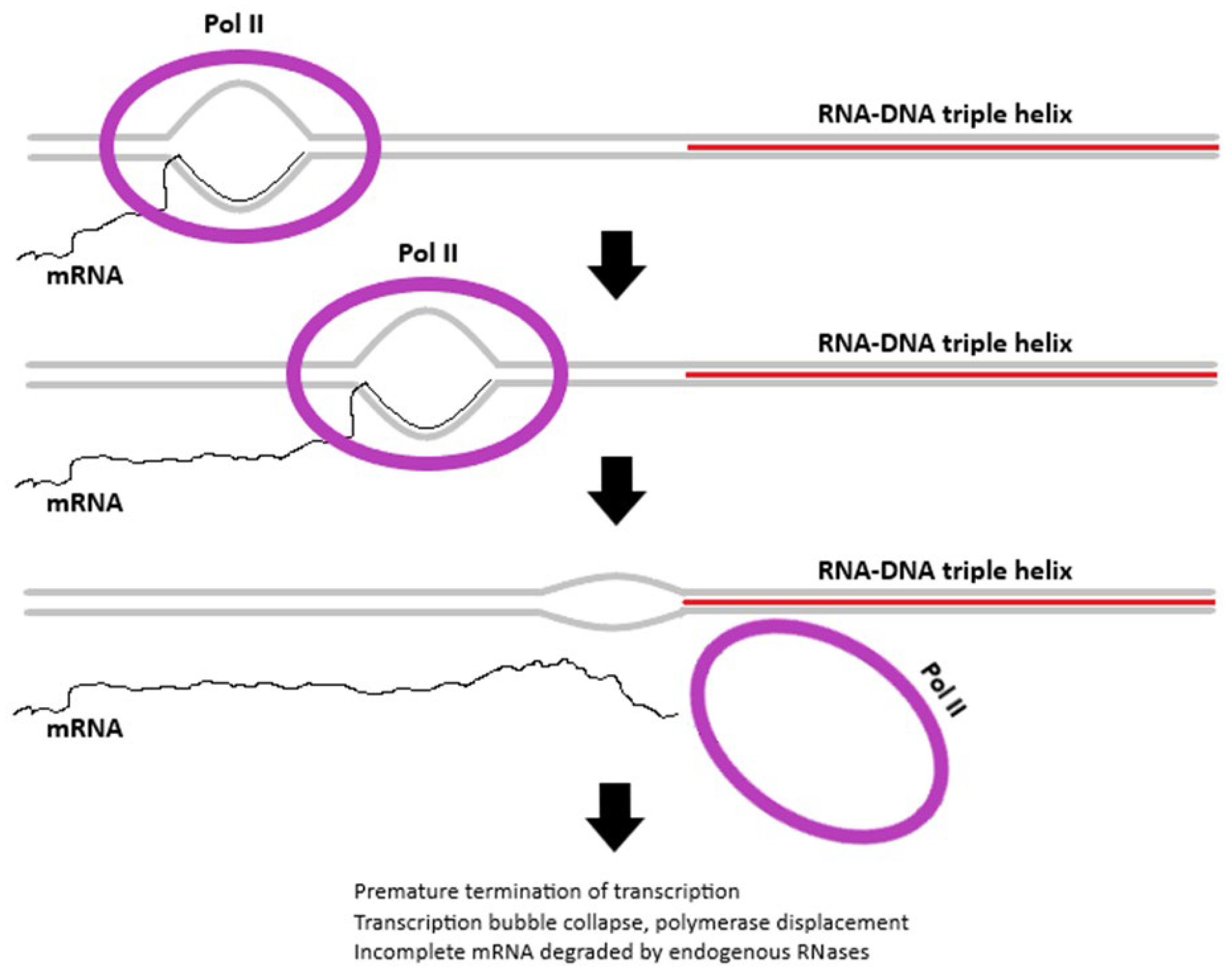 Preprints 176131 g005