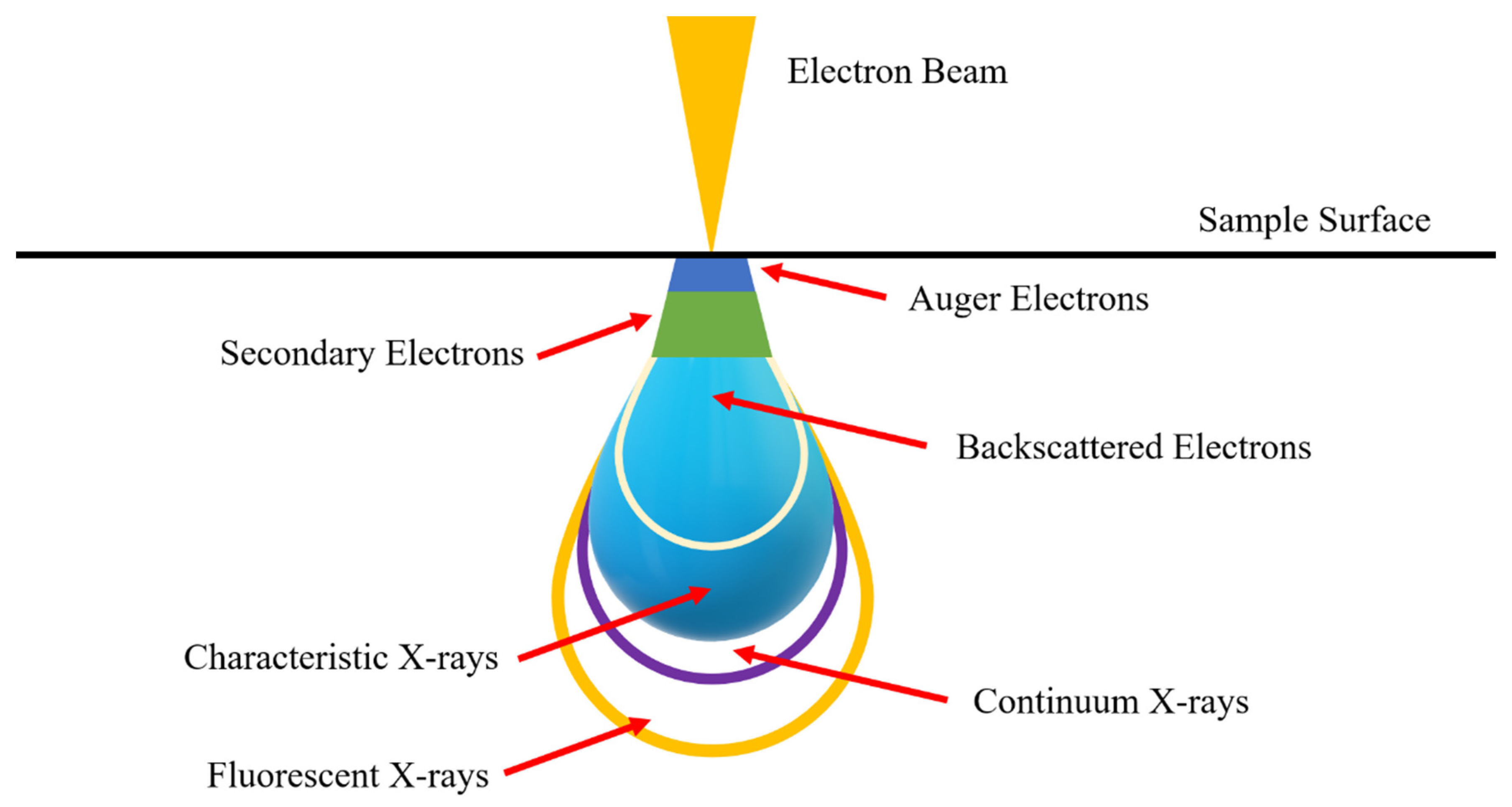 Preprints 89210 g002