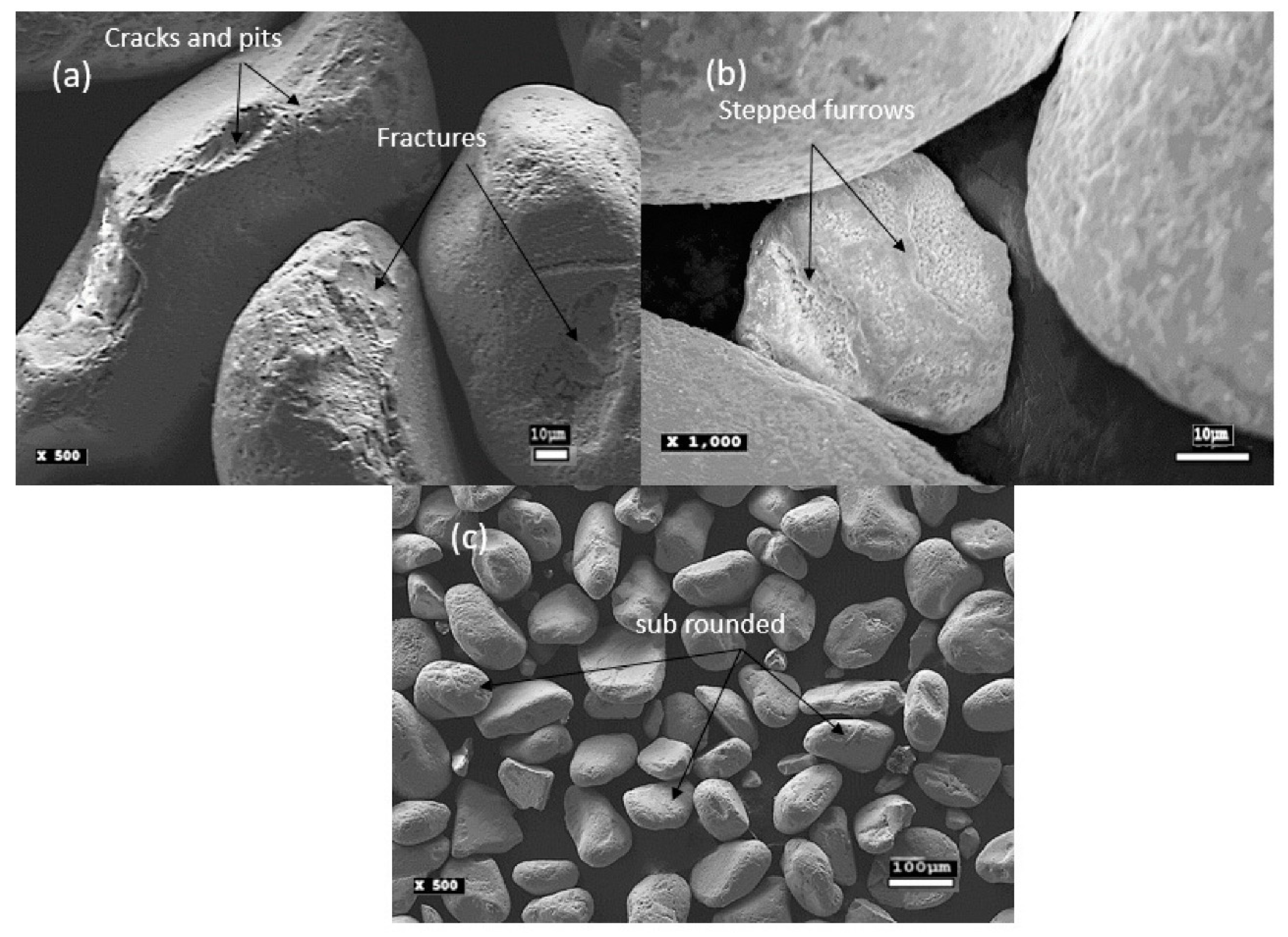 Preprints 89210 g003