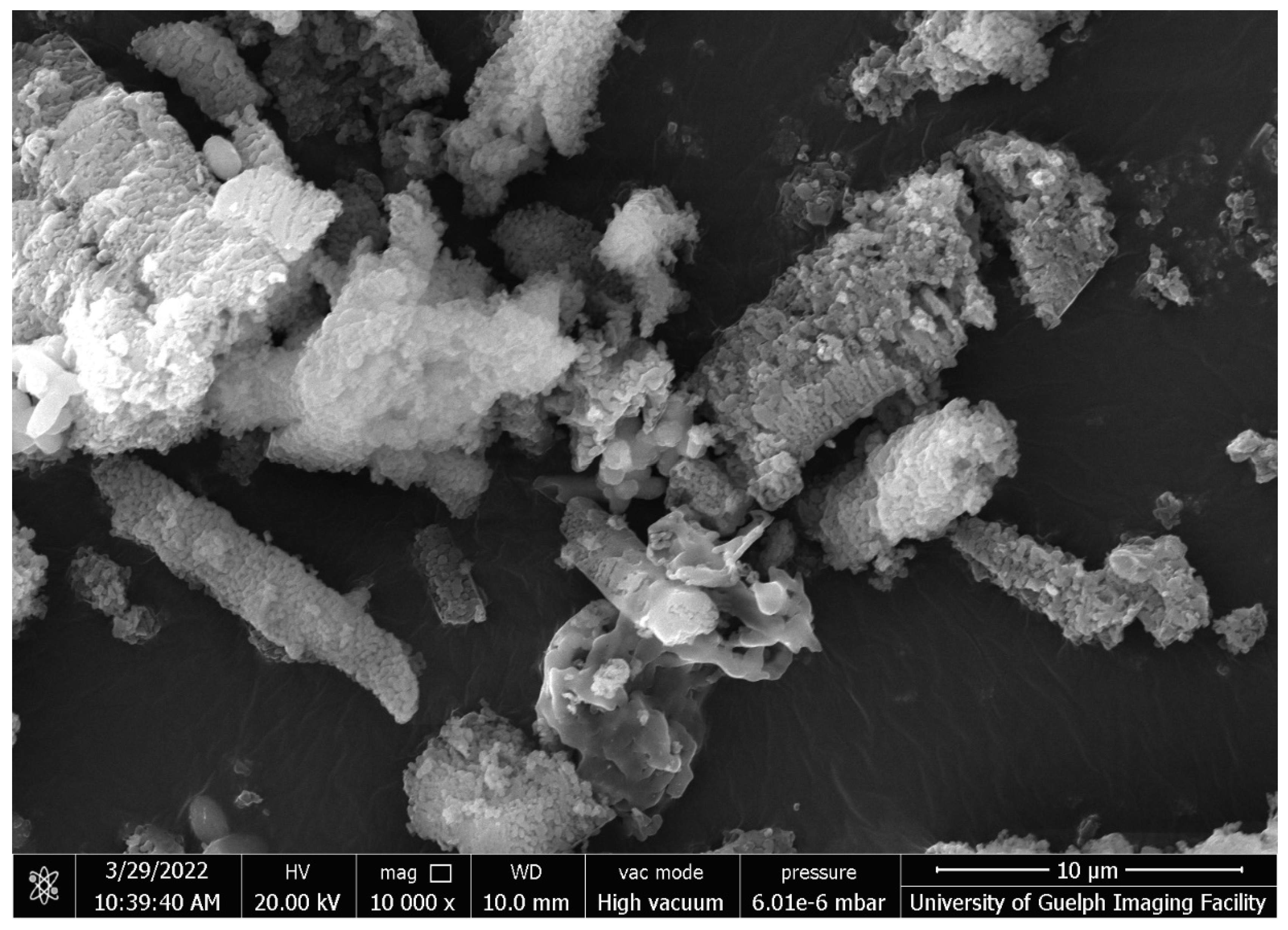 Preprints 89210 g004