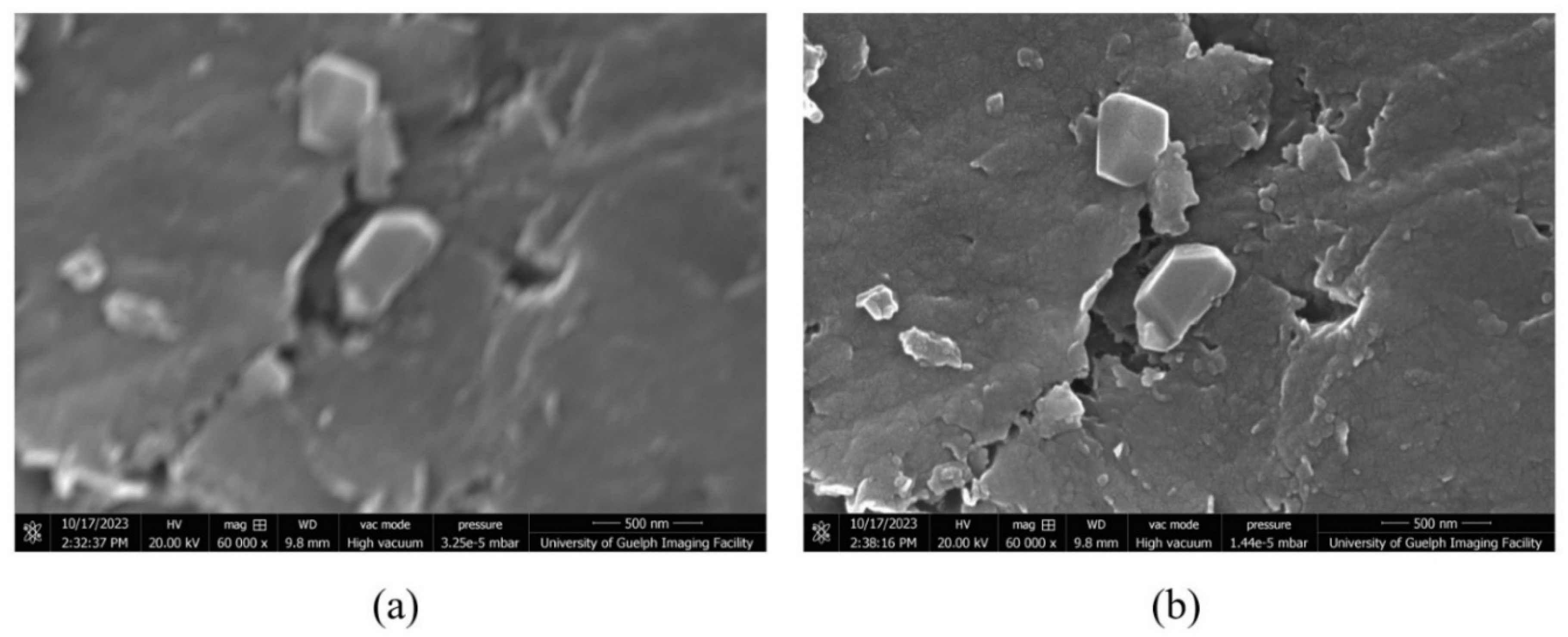 Preprints 89210 g013