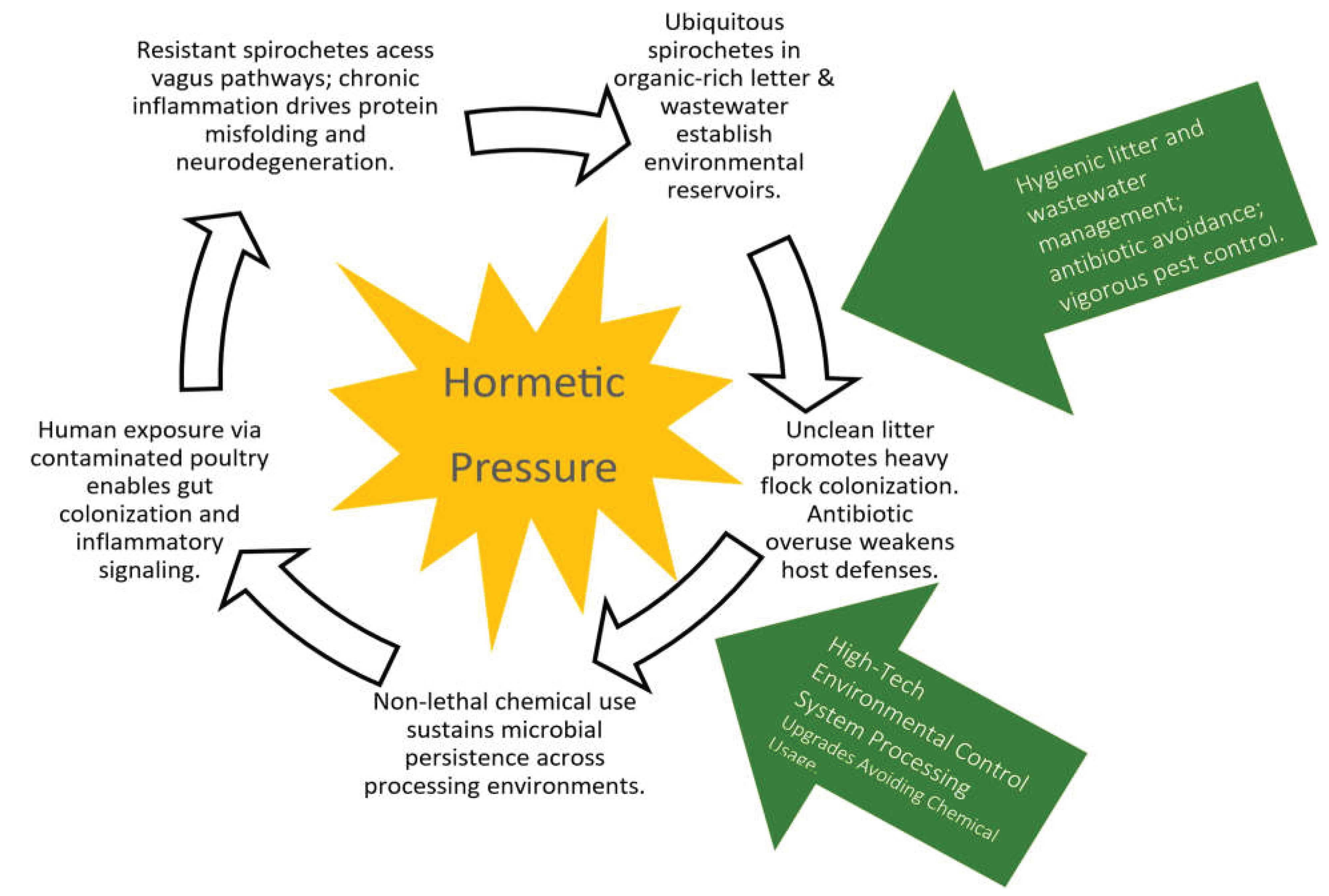 Preprints 196689 g004