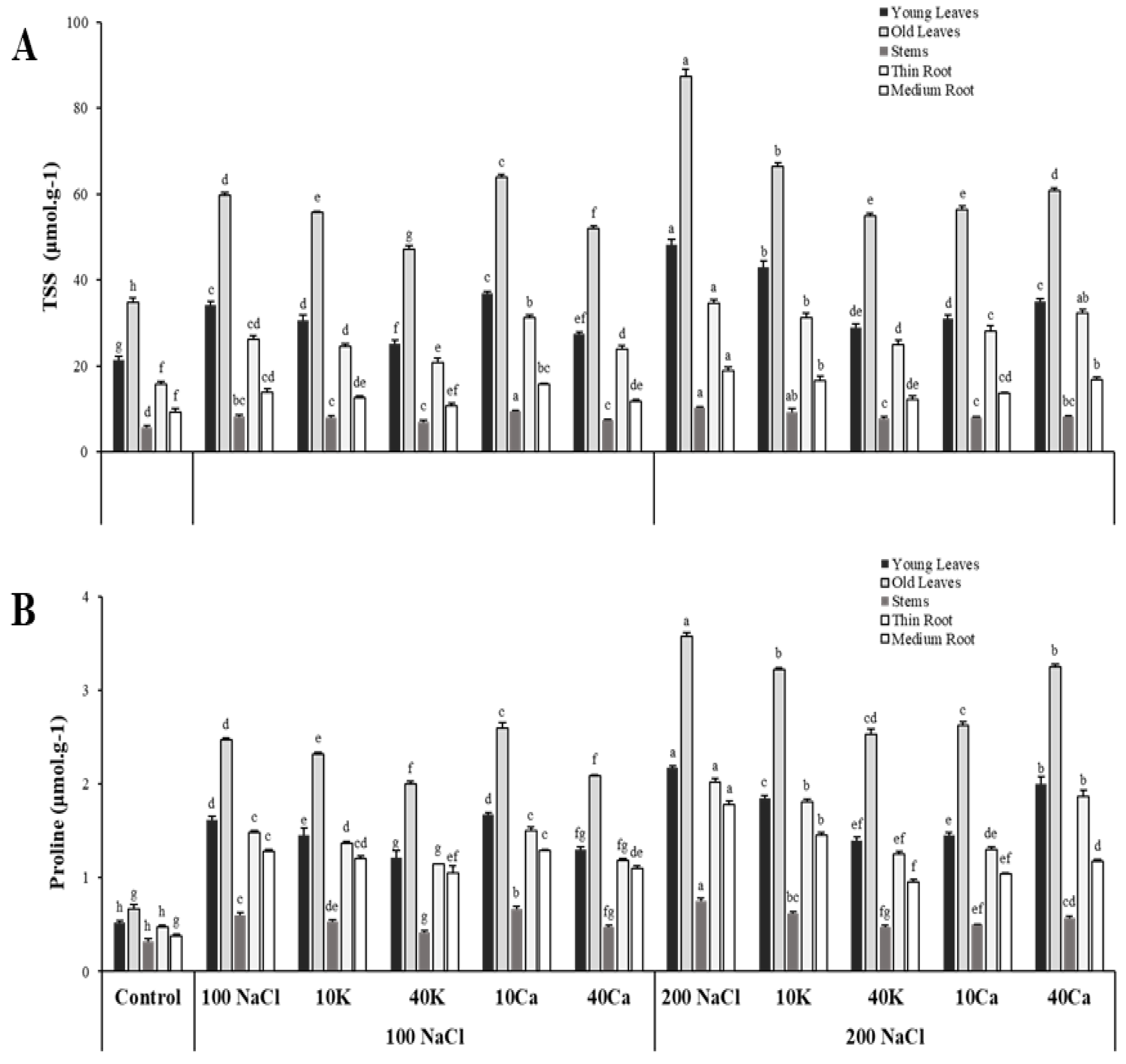 Preprints 162510 g004