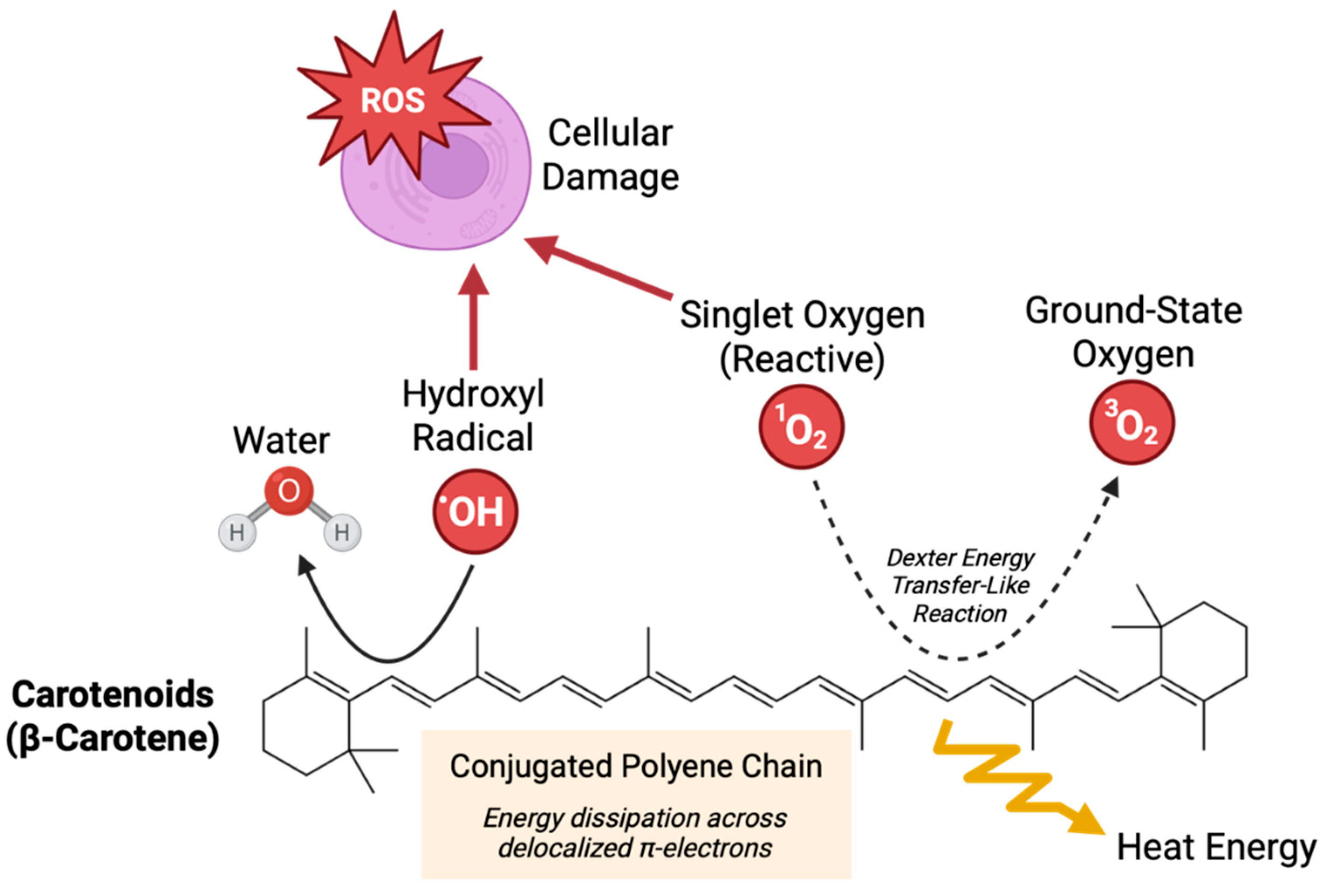 Preprints 173421 g001