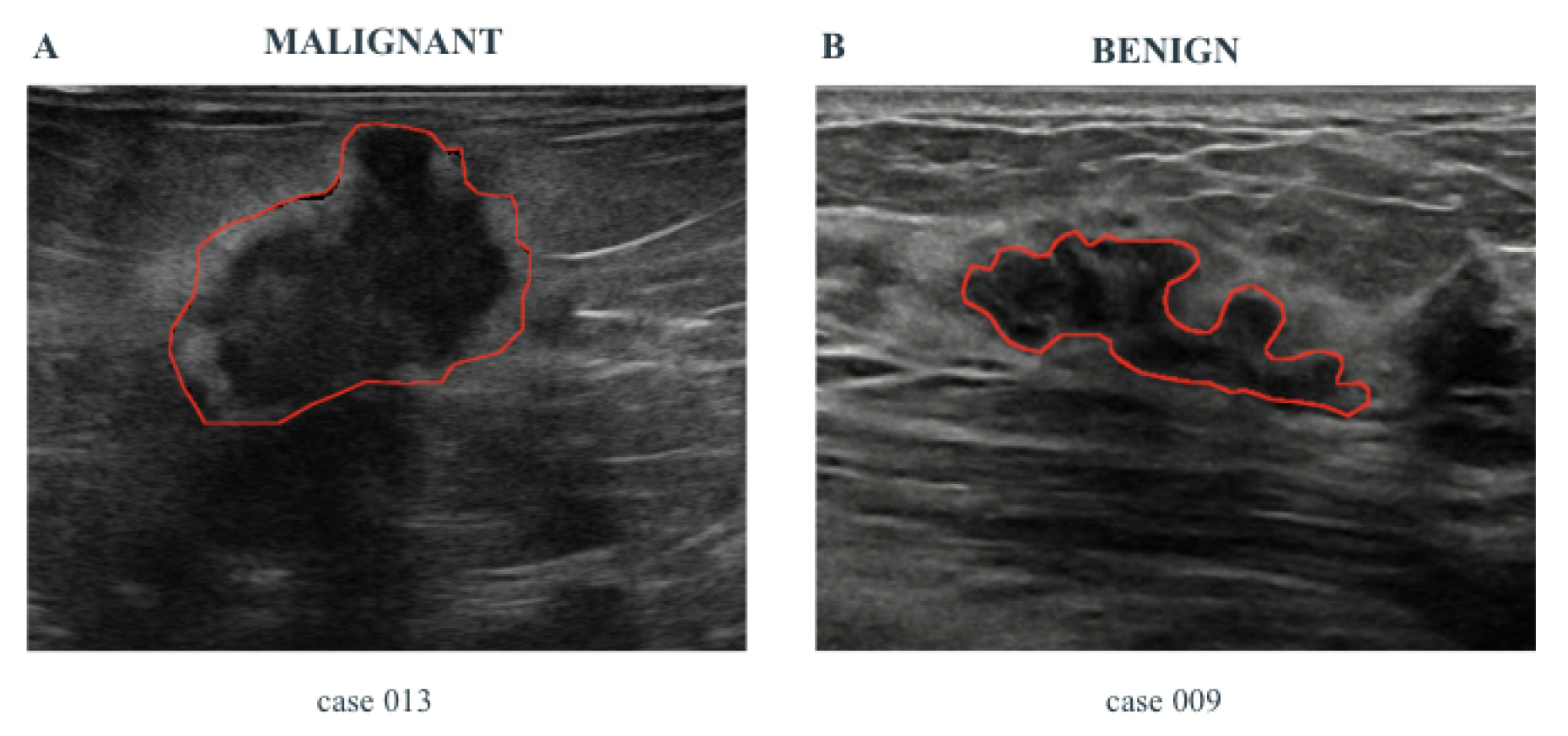 Preprints 175946 g002