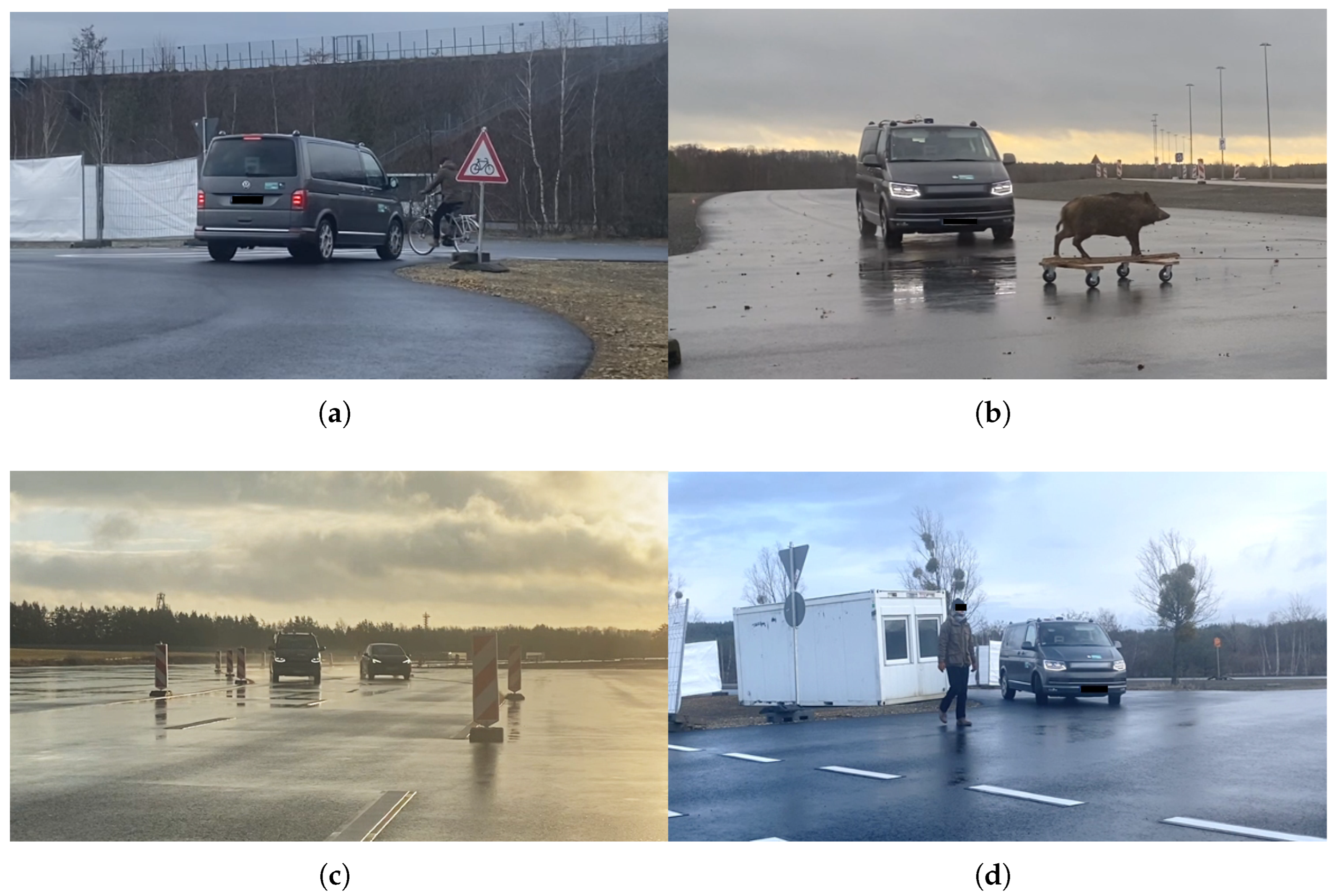 Preprints 180884 g003