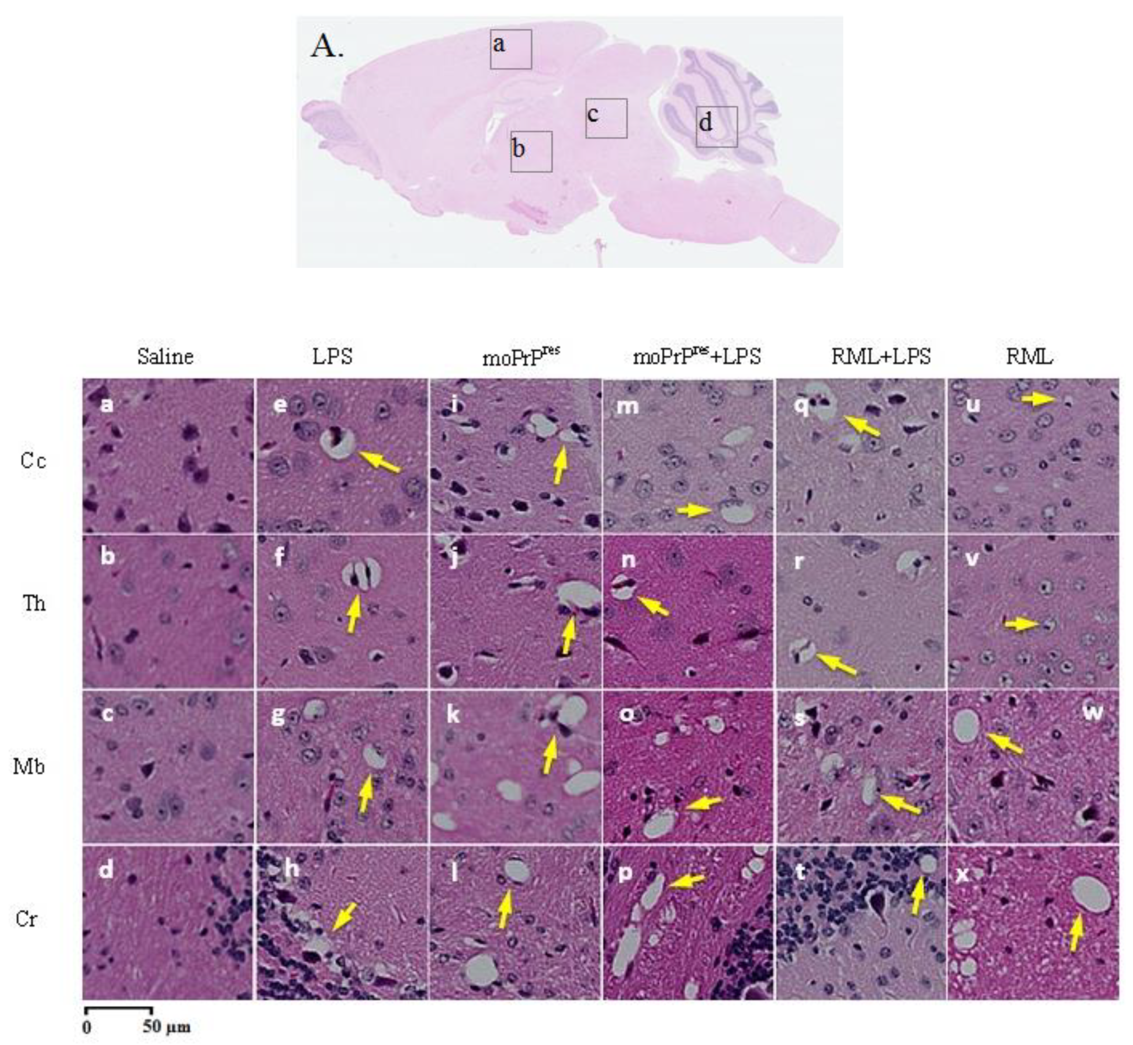 Preprints 155748 g003