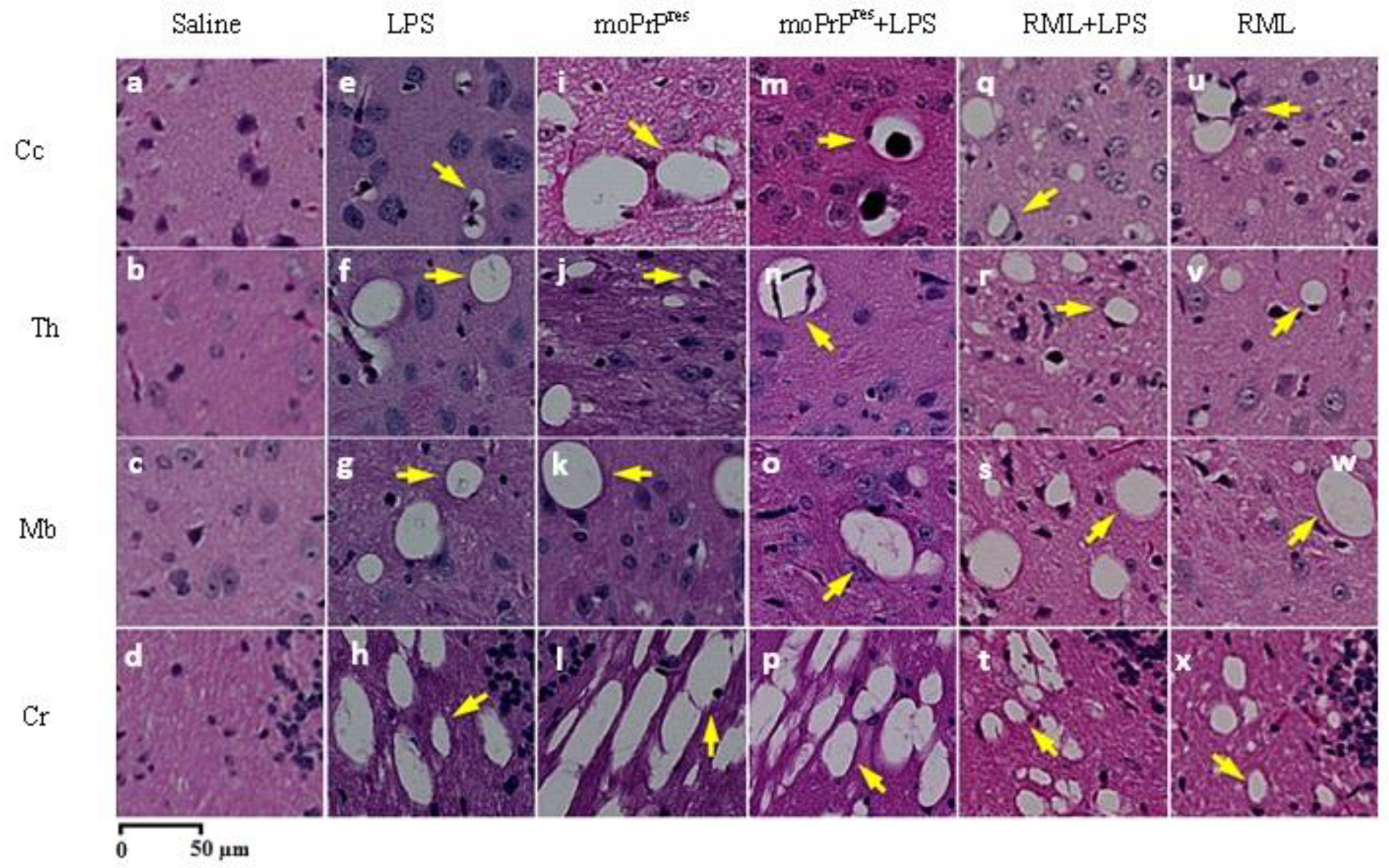 Preprints 155748 g004
