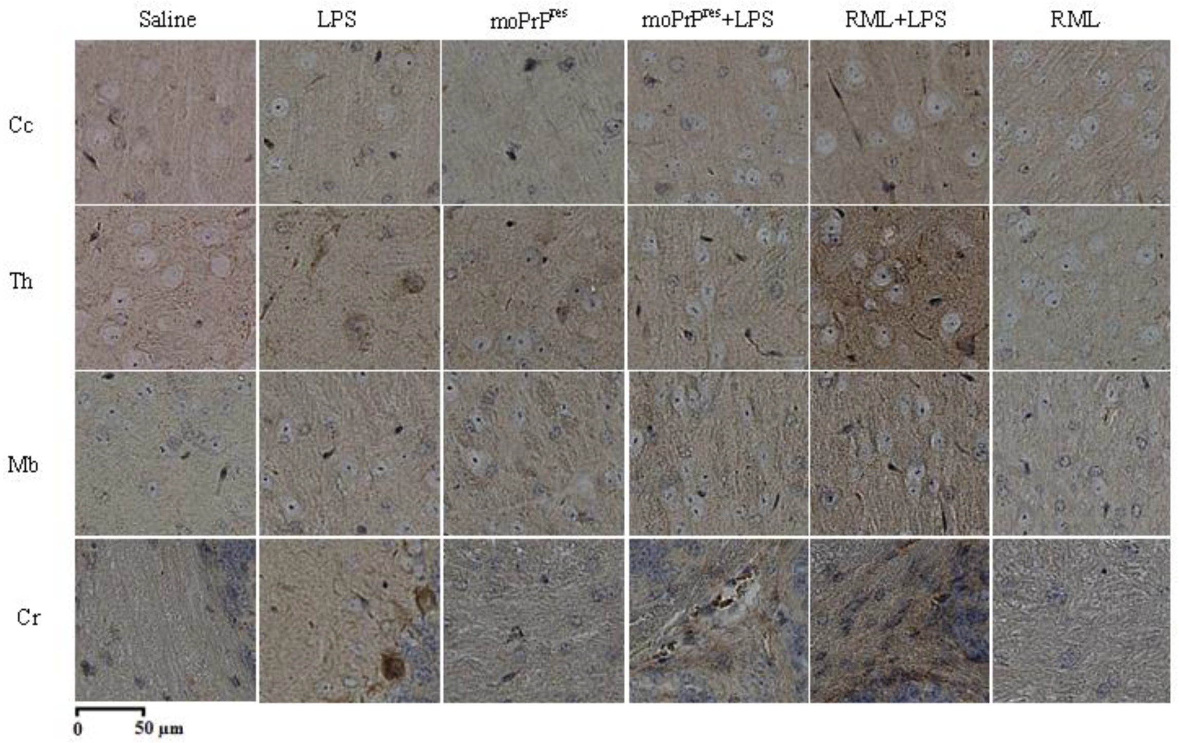 Preprints 155748 g005