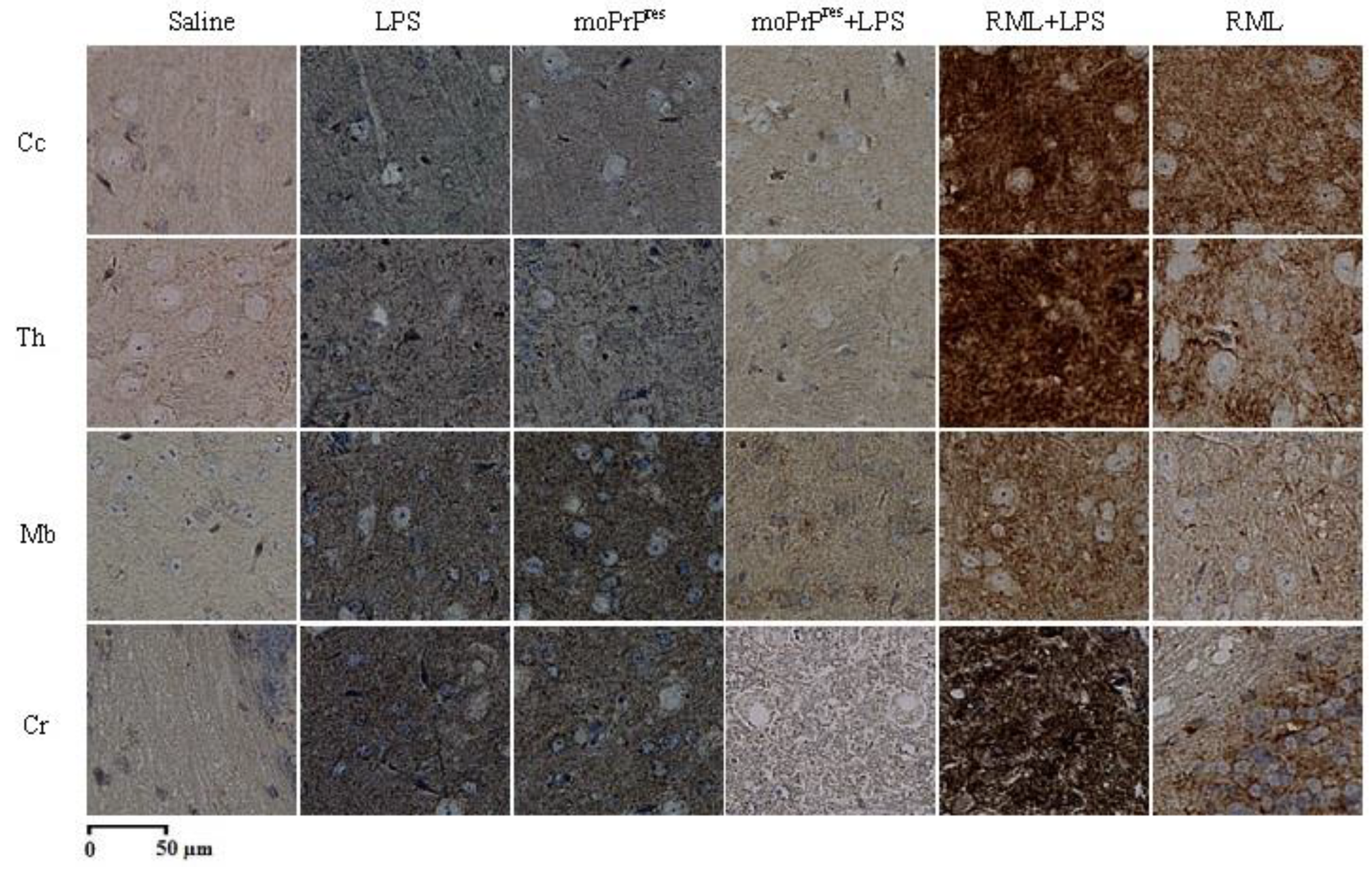 Preprints 155748 g006