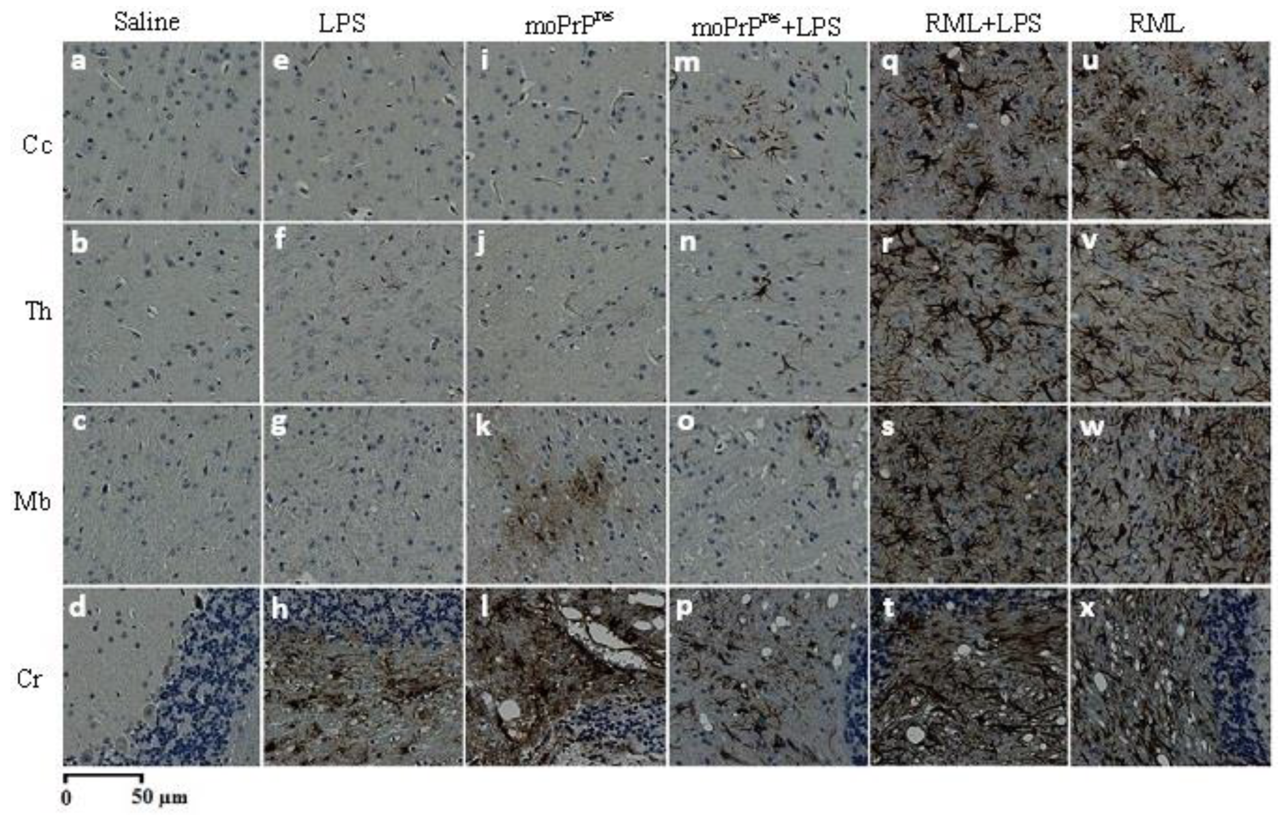 Preprints 155748 g007