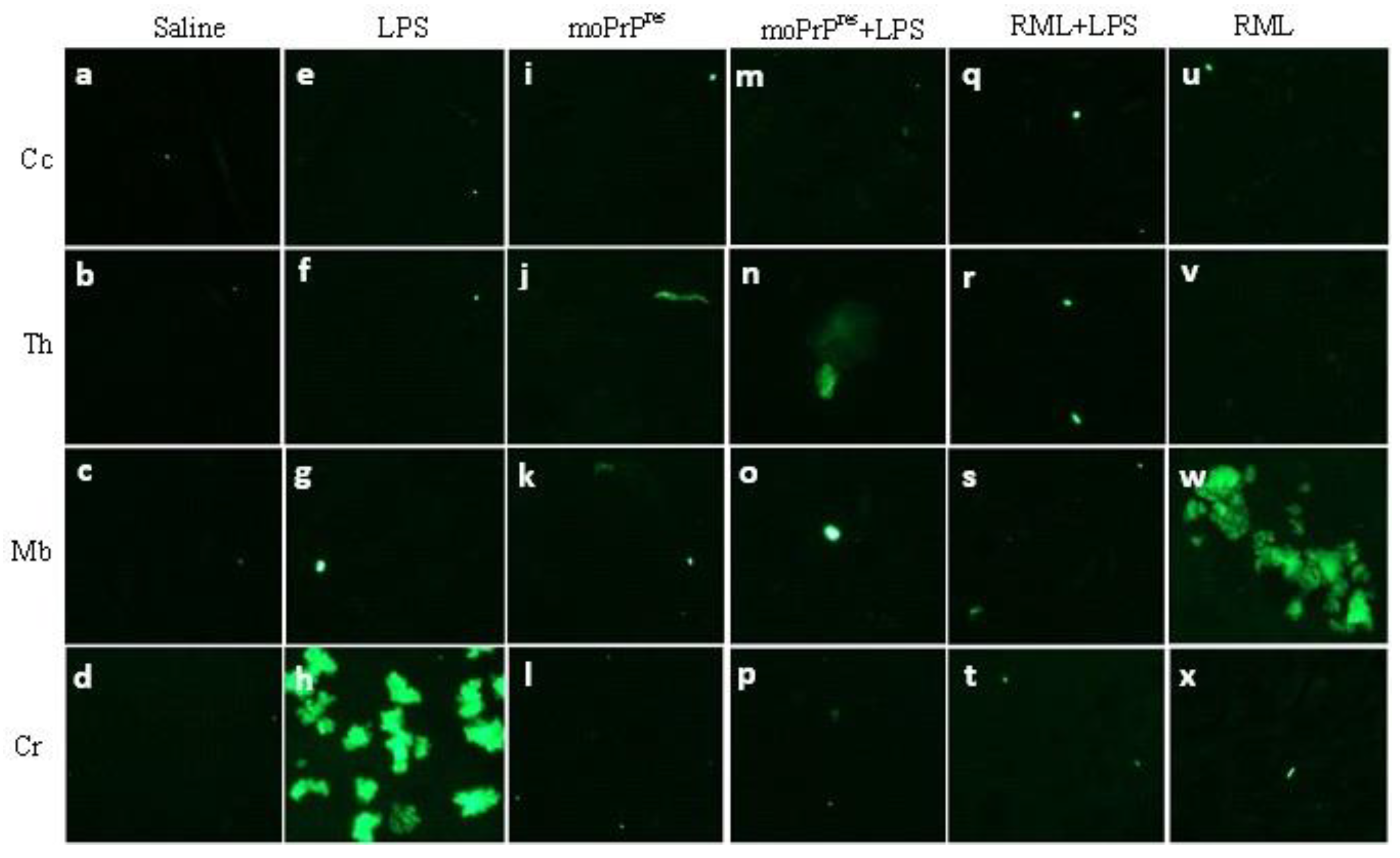 Preprints 155748 g008