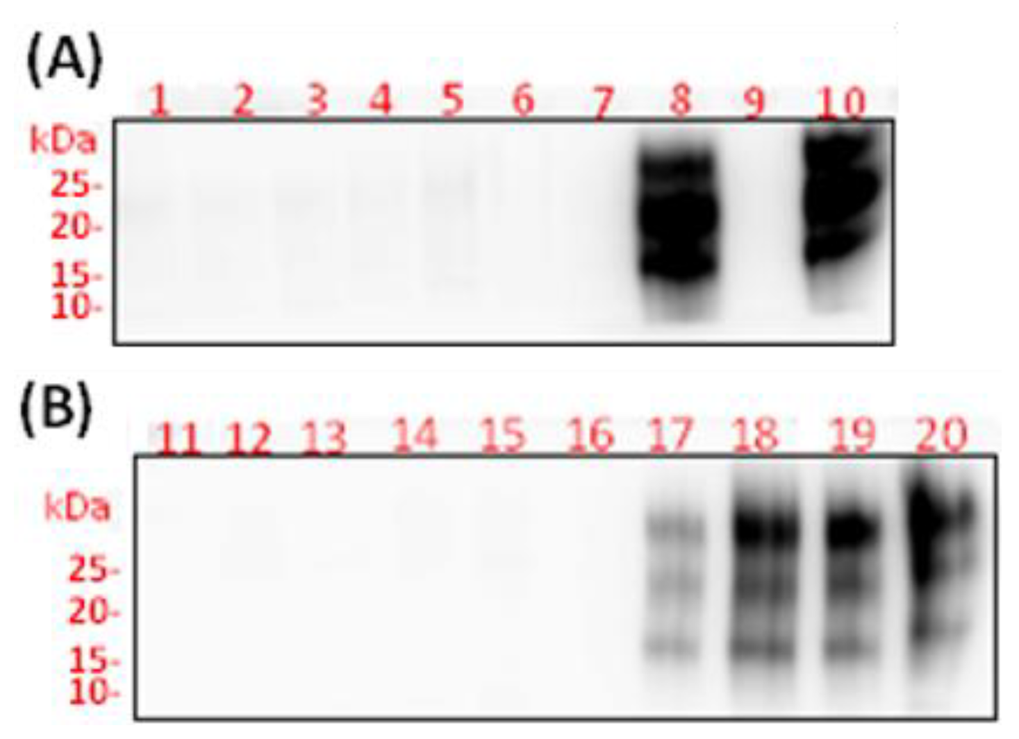 Preprints 155748 g009