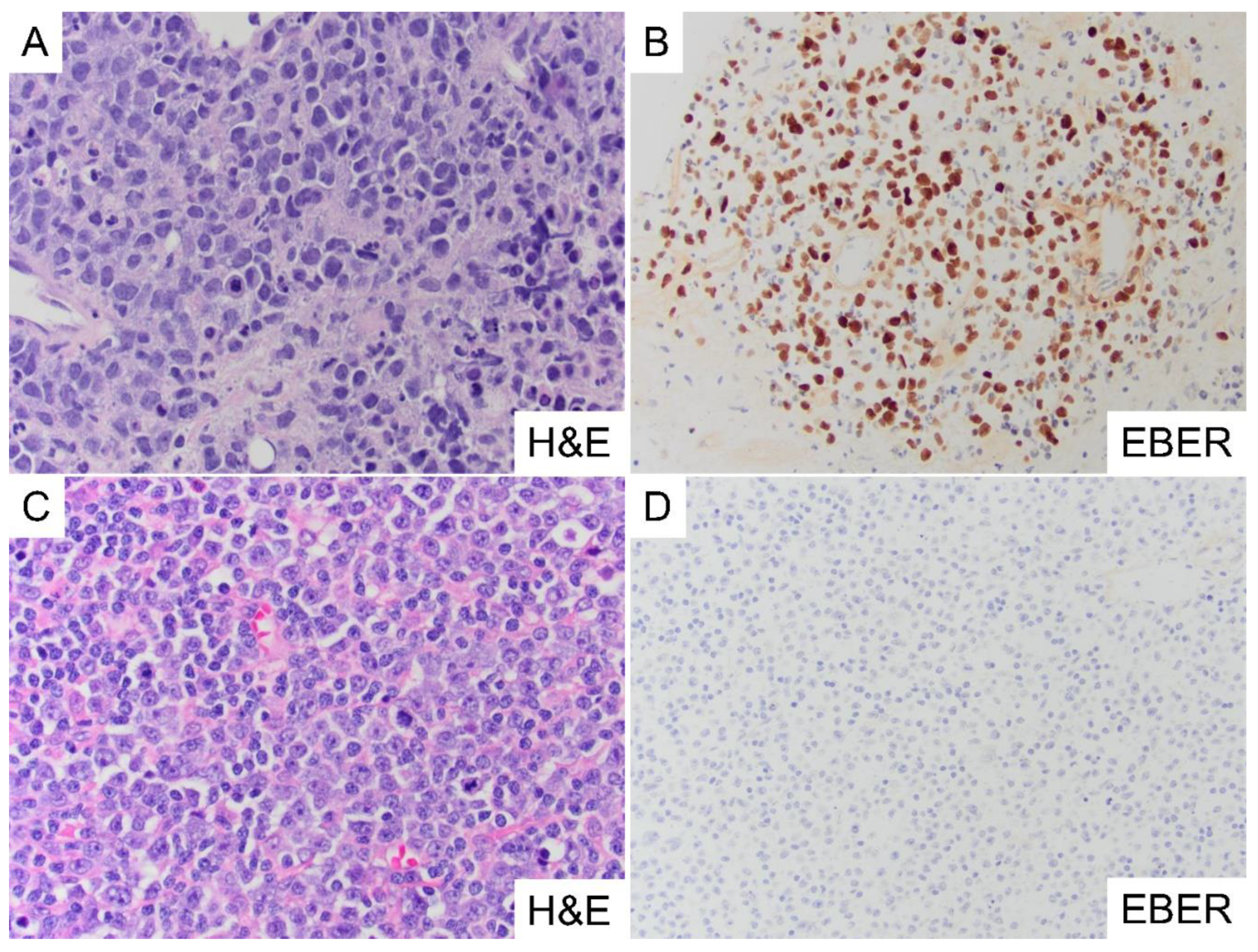 Preprints 173004 g001