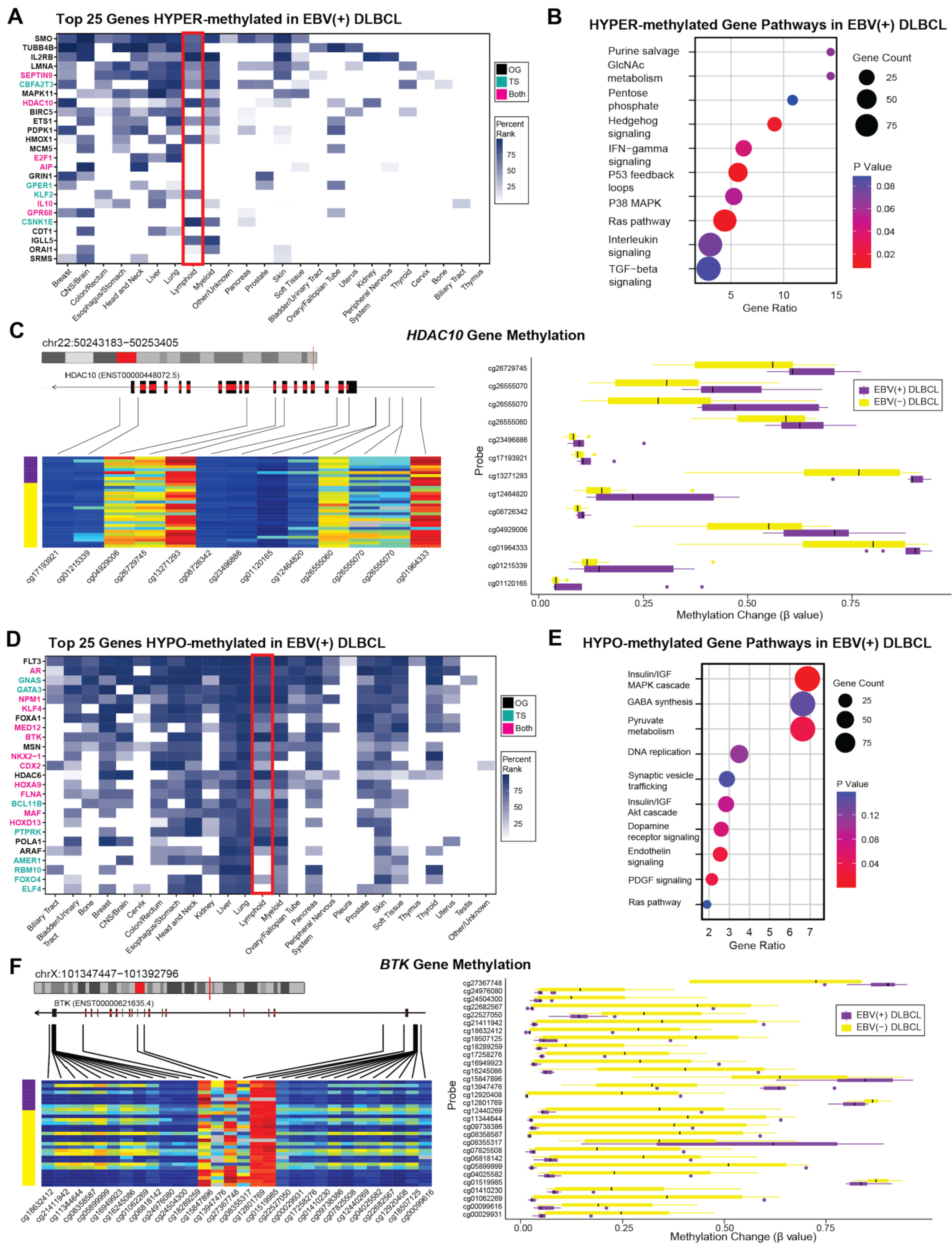 Preprints 173004 g004