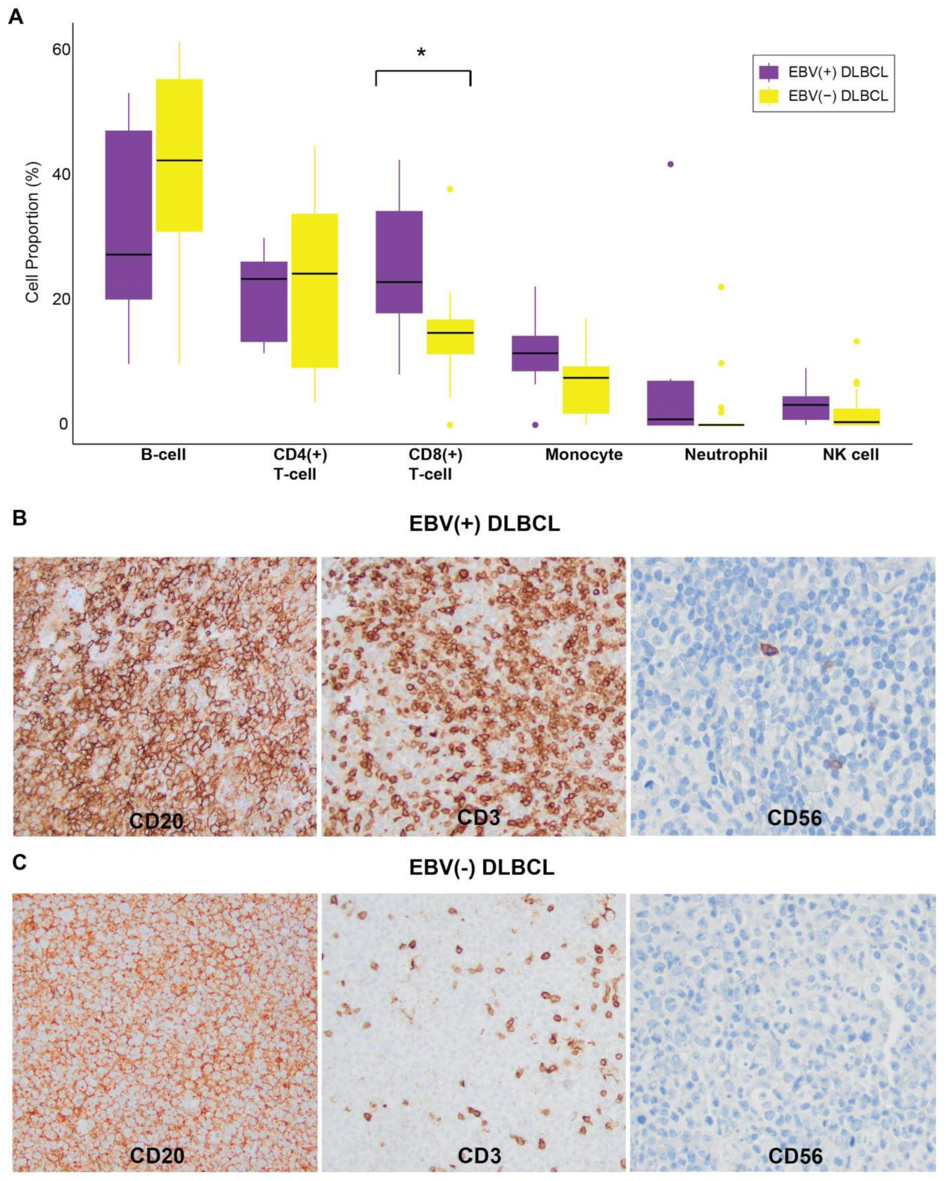 Preprints 173004 g005