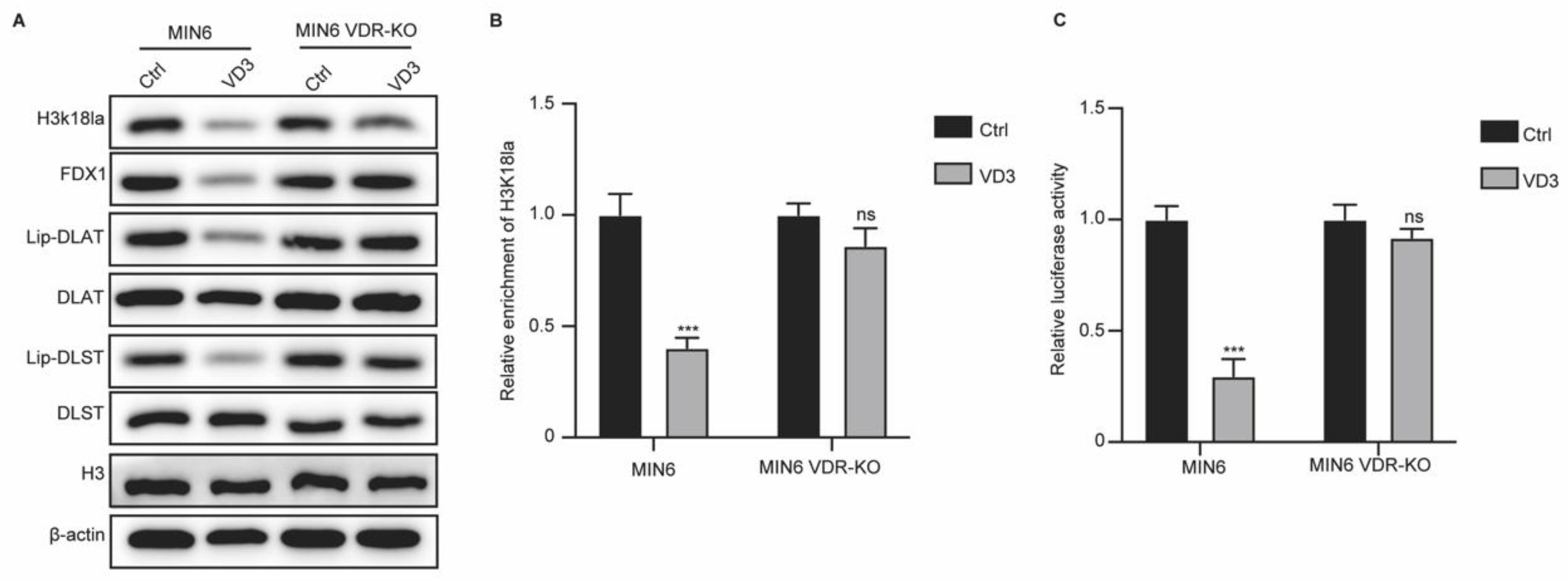 Preprints 164887 g003