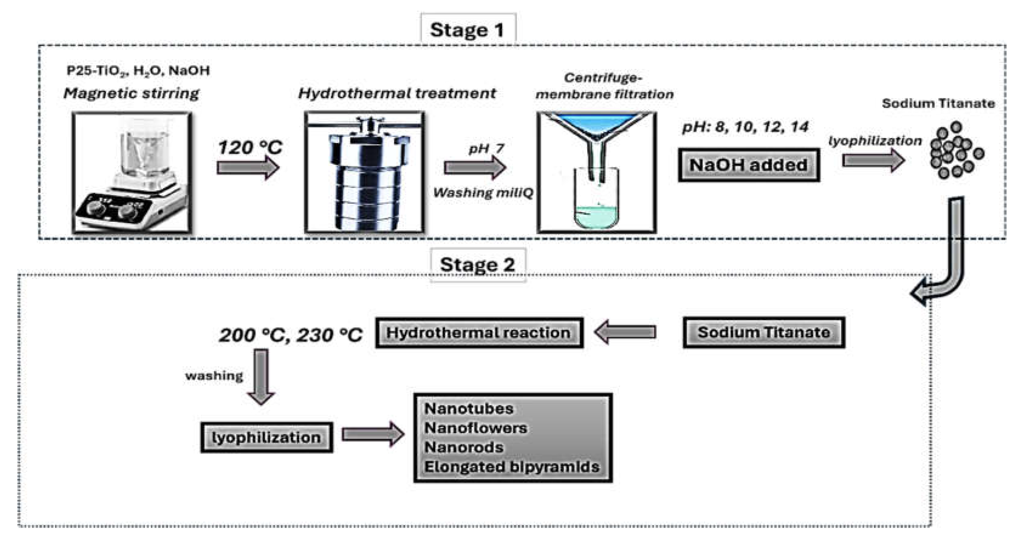 Preprints 153059 g001