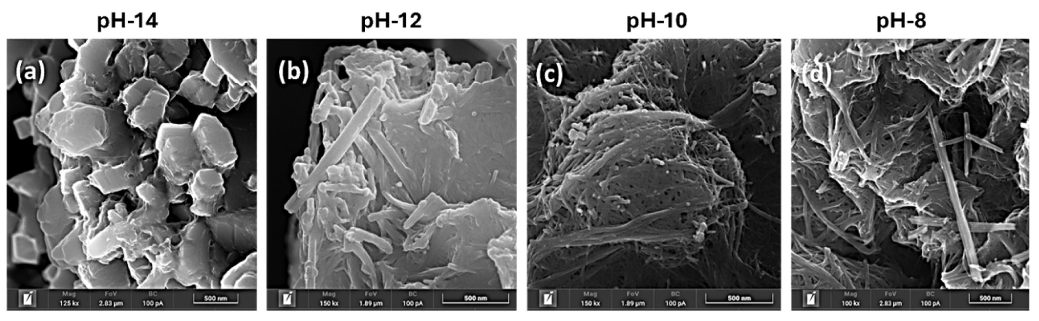 Preprints 153059 g002