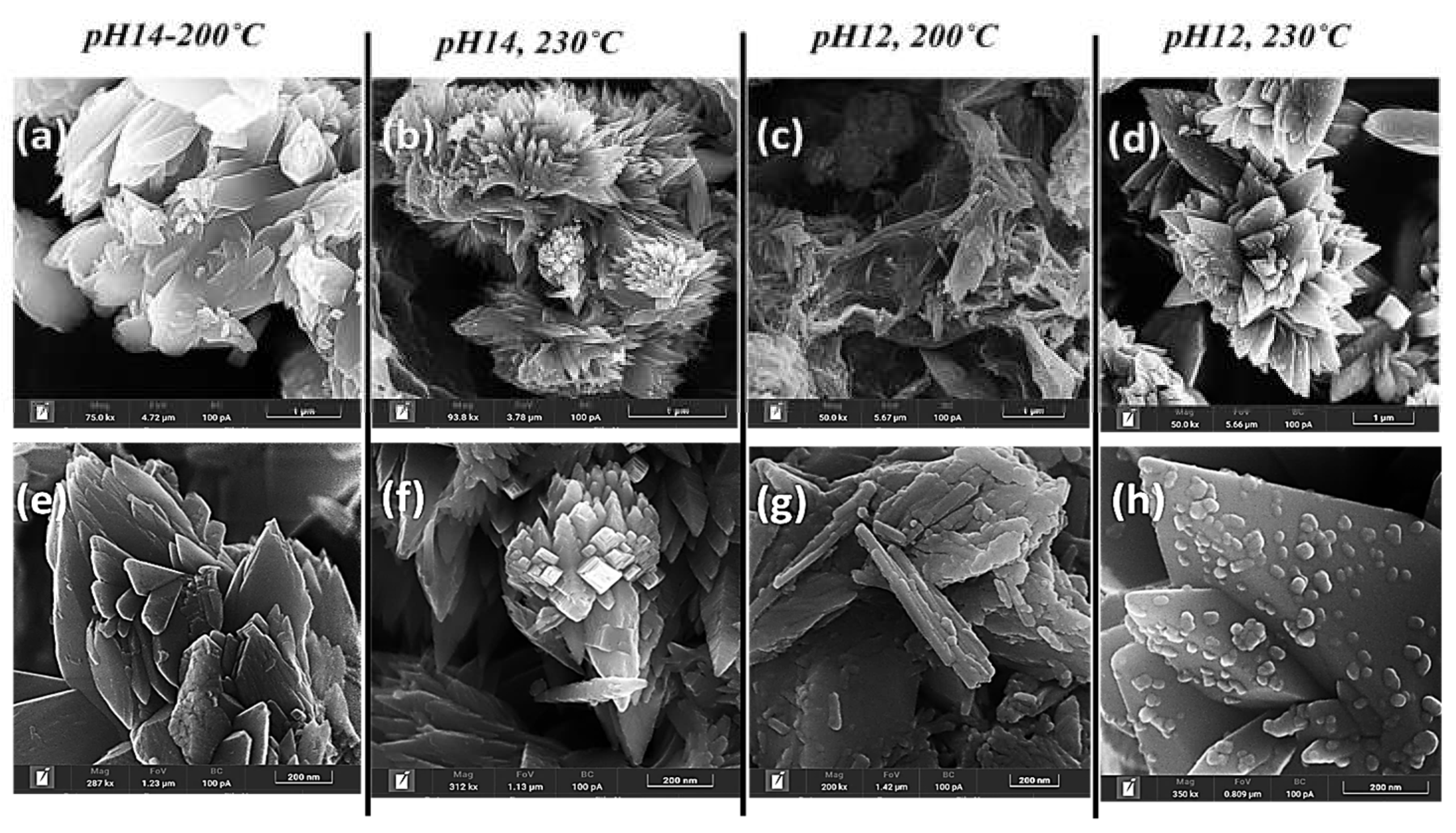 Preprints 153059 g003