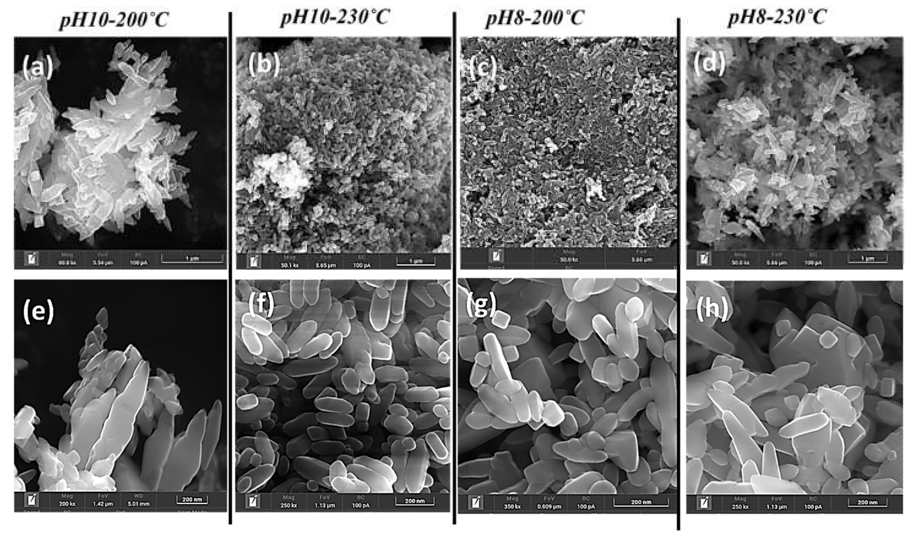 Preprints 153059 g004