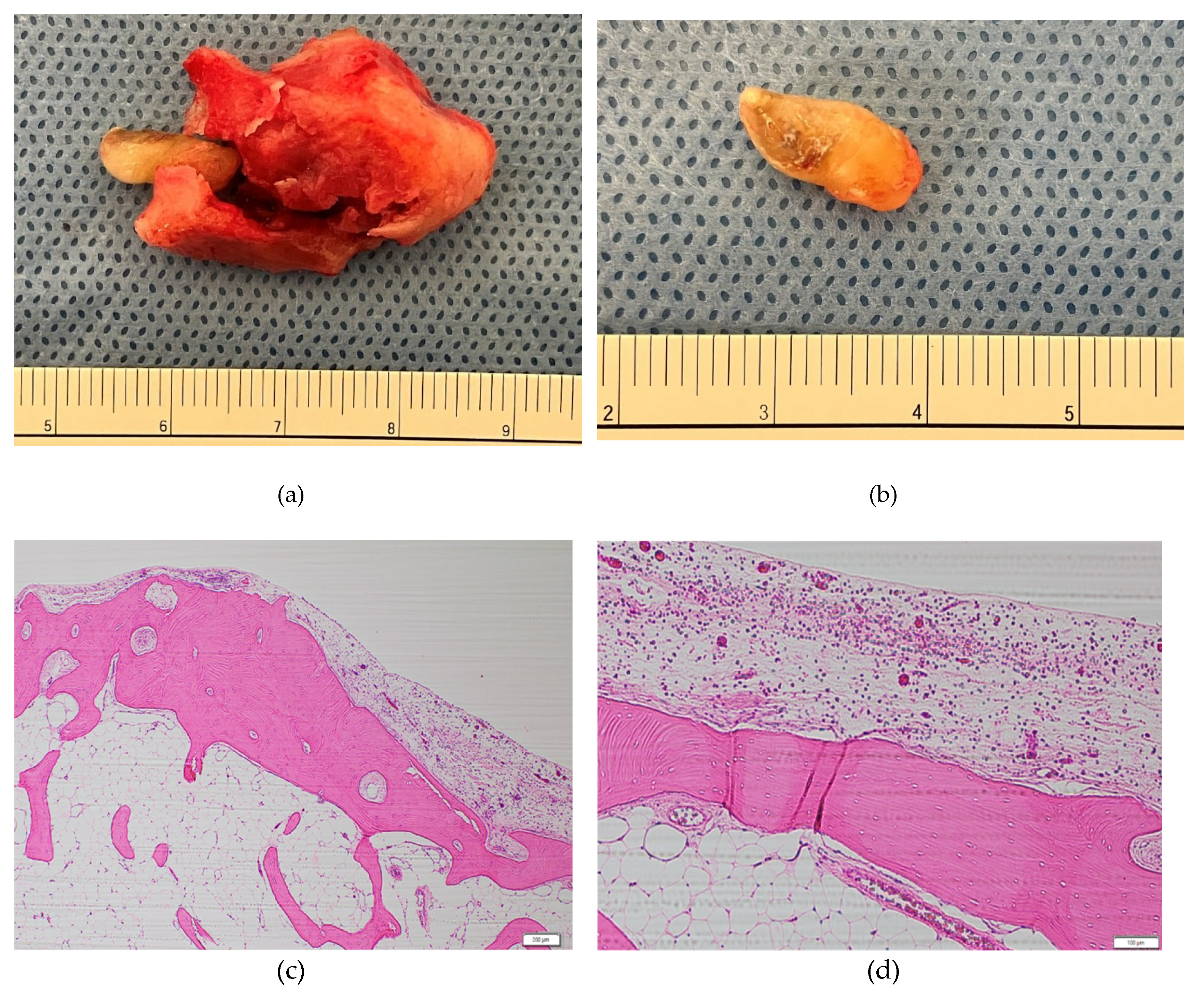 Preprints 110324 g004