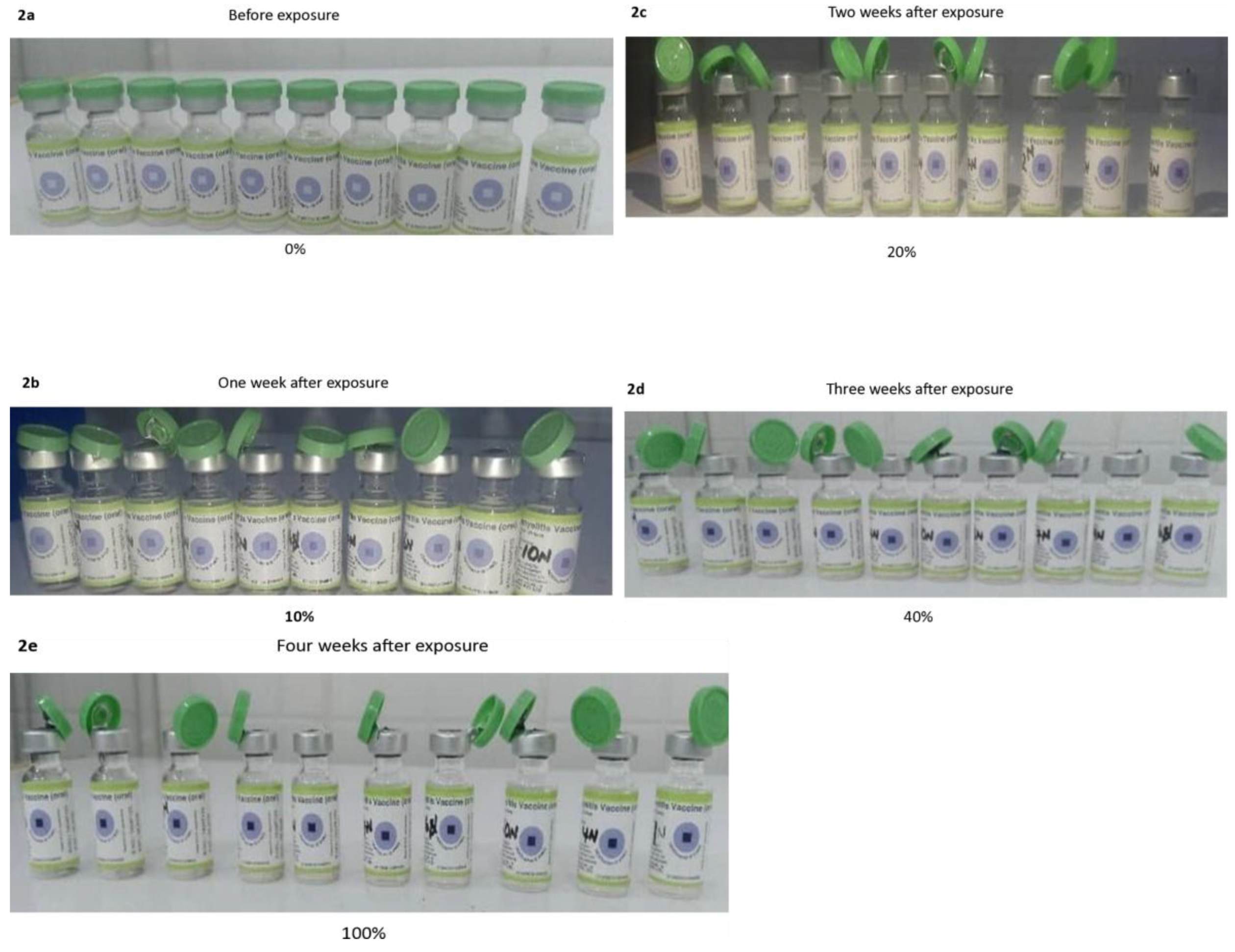 Preprints 181028 g002