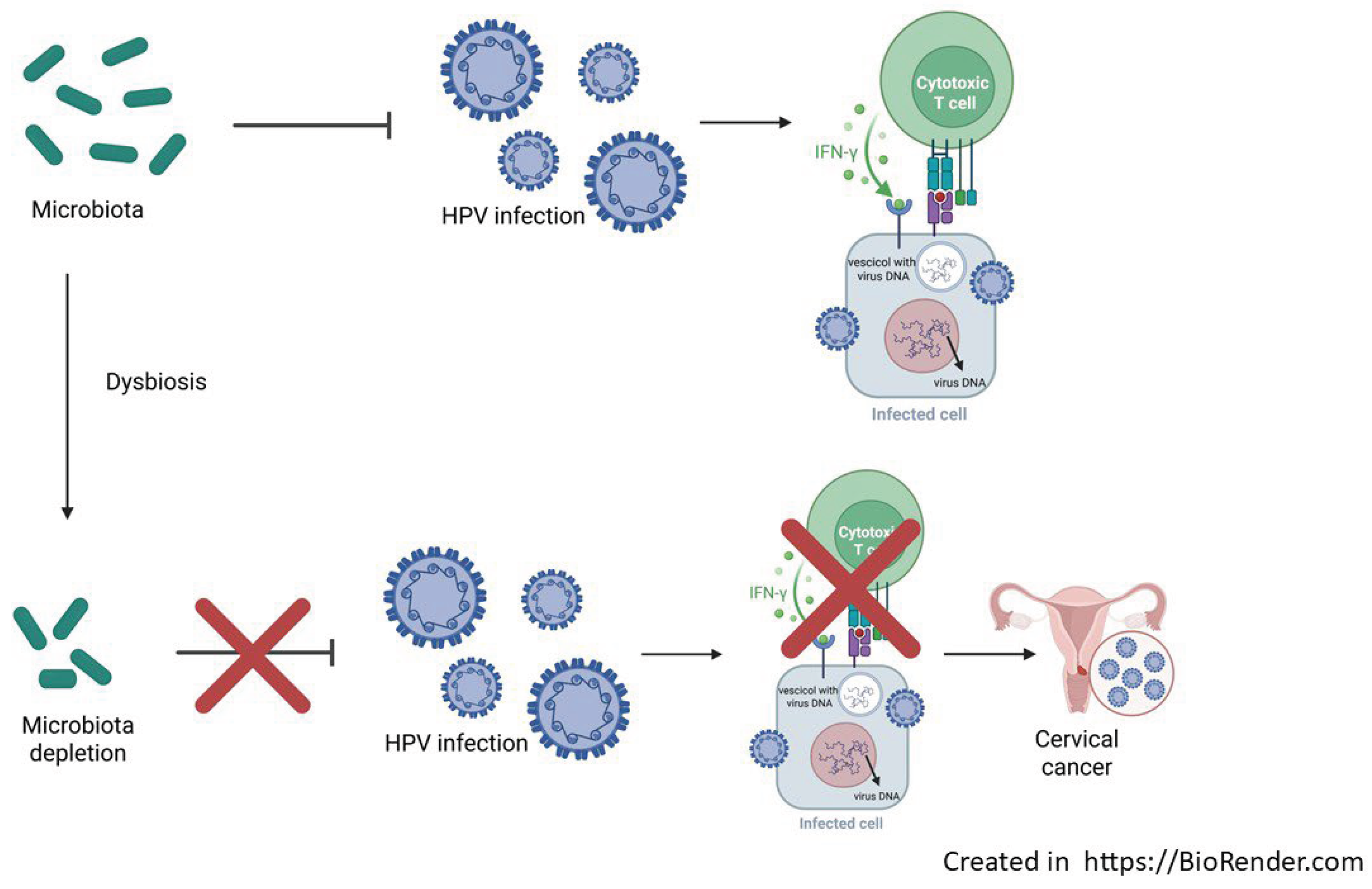 Preprints 176991 g001