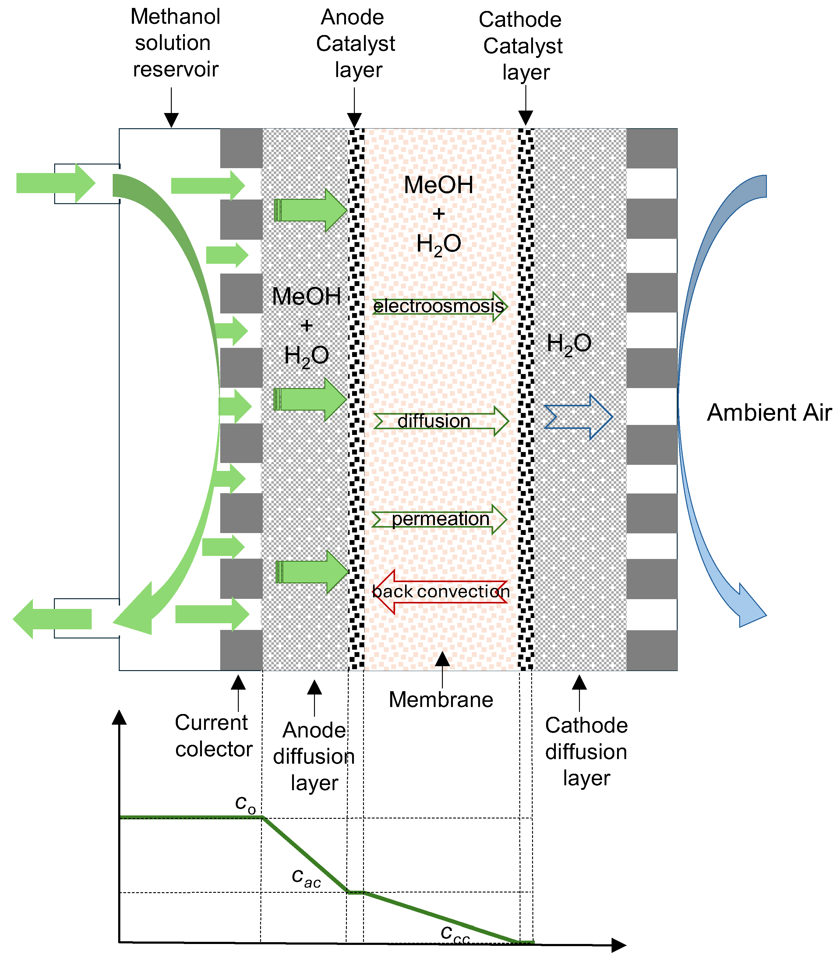 Preprints 145780 g001