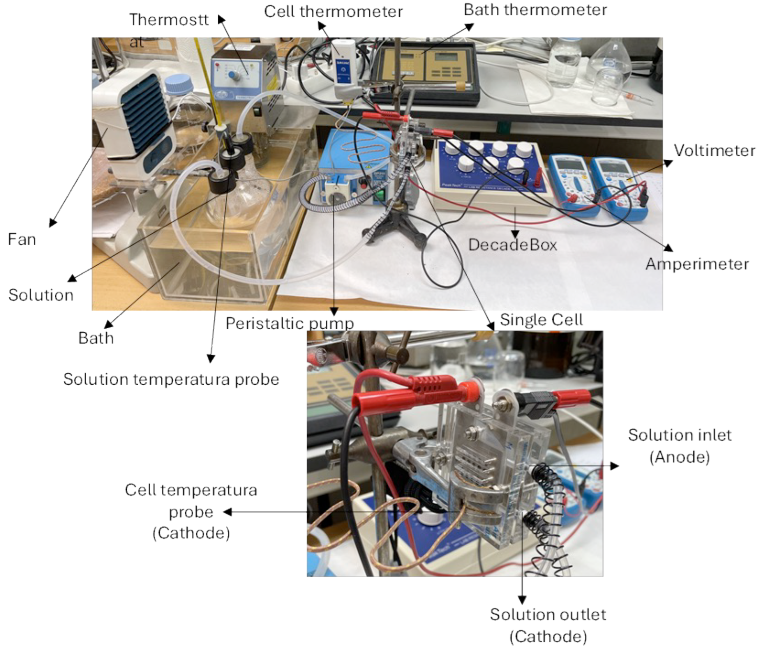 Preprints 145780 g002