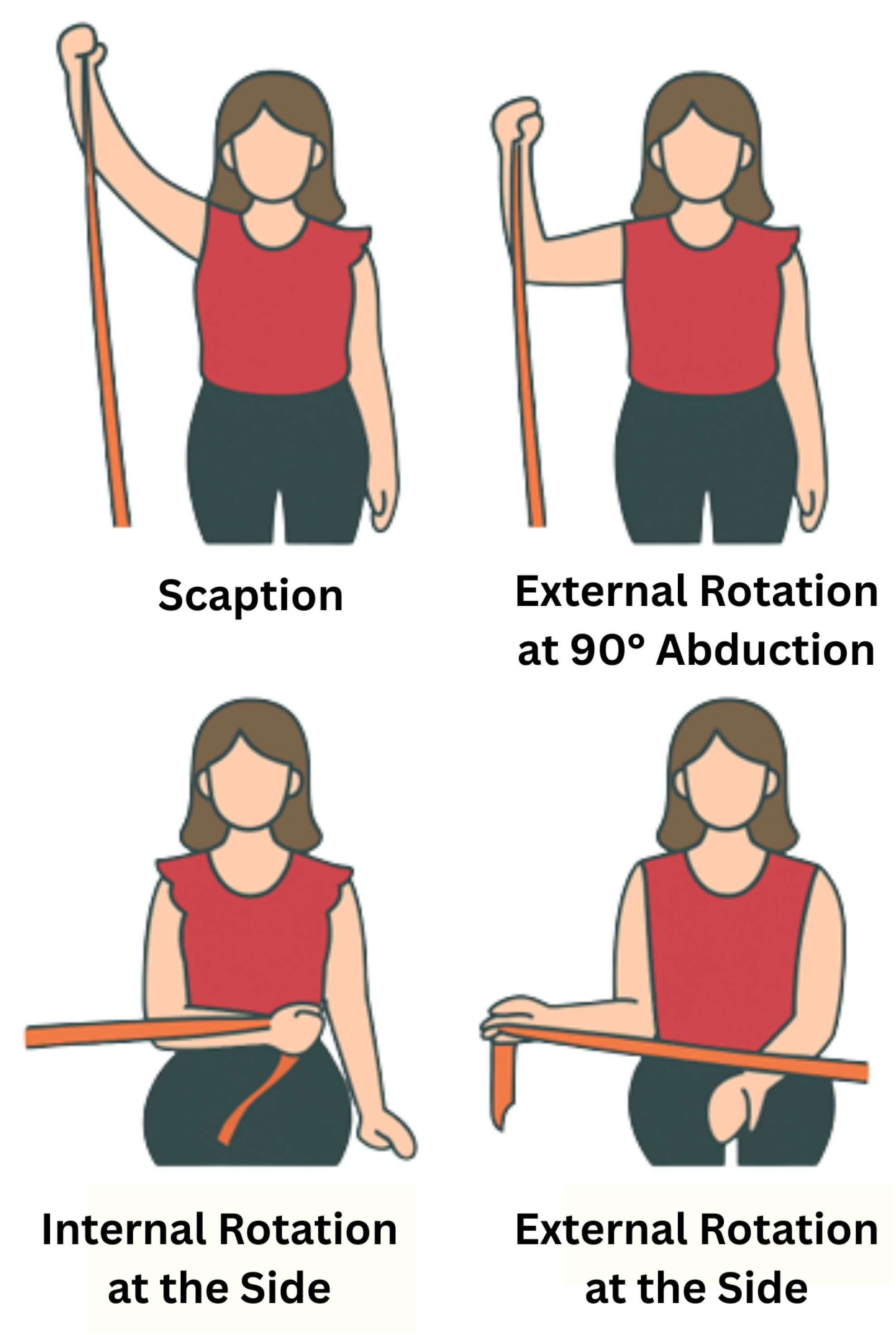 Preprints 180974 g001