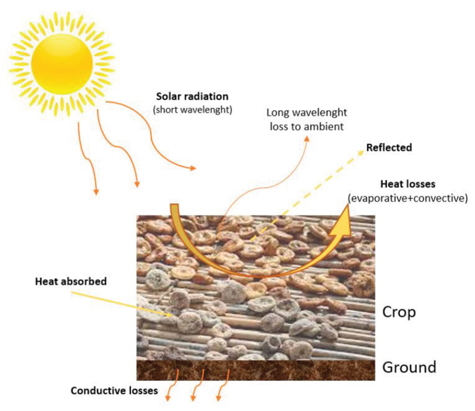 Preprints 198377 g001