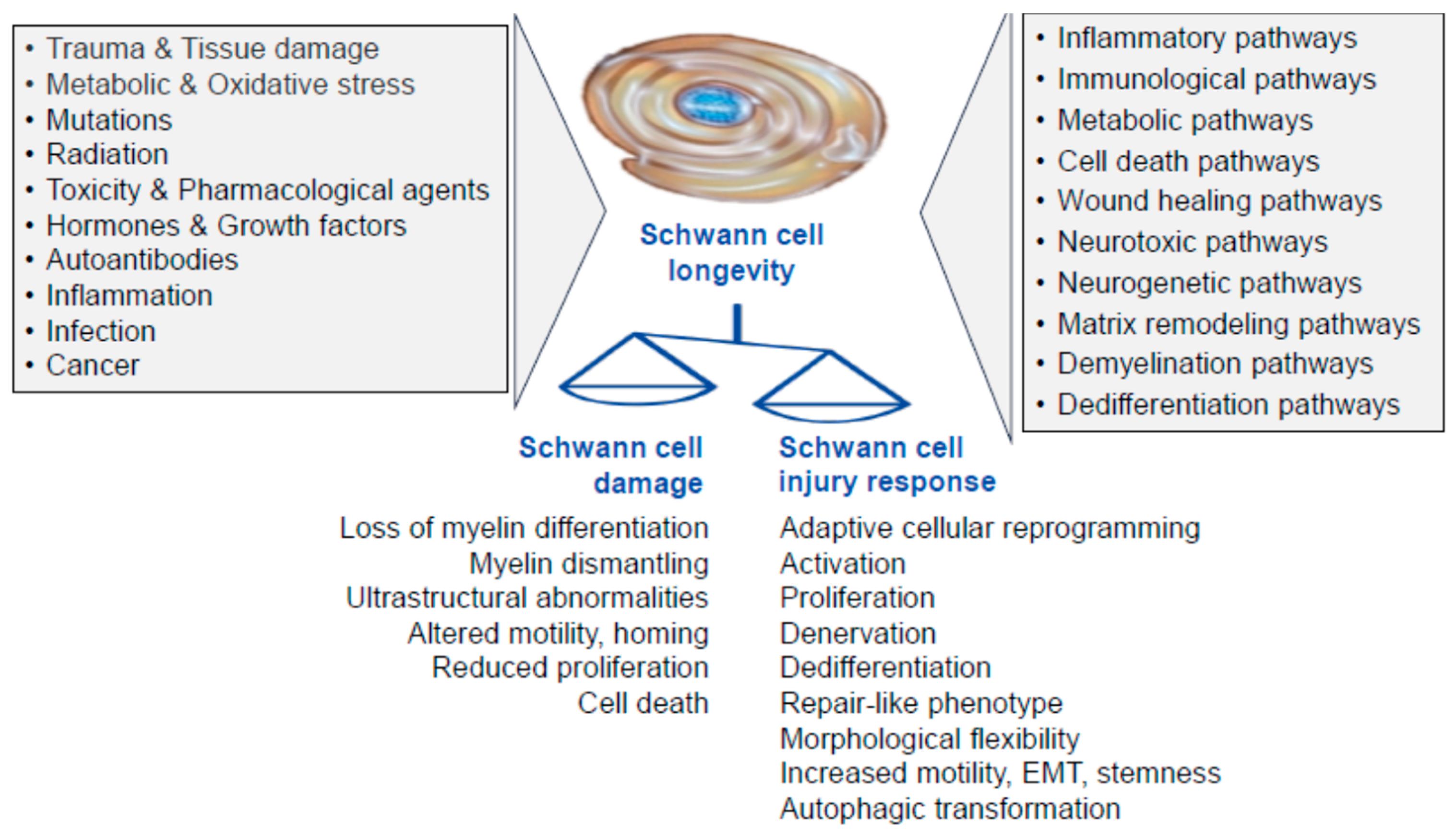 Preprints 170317 g001