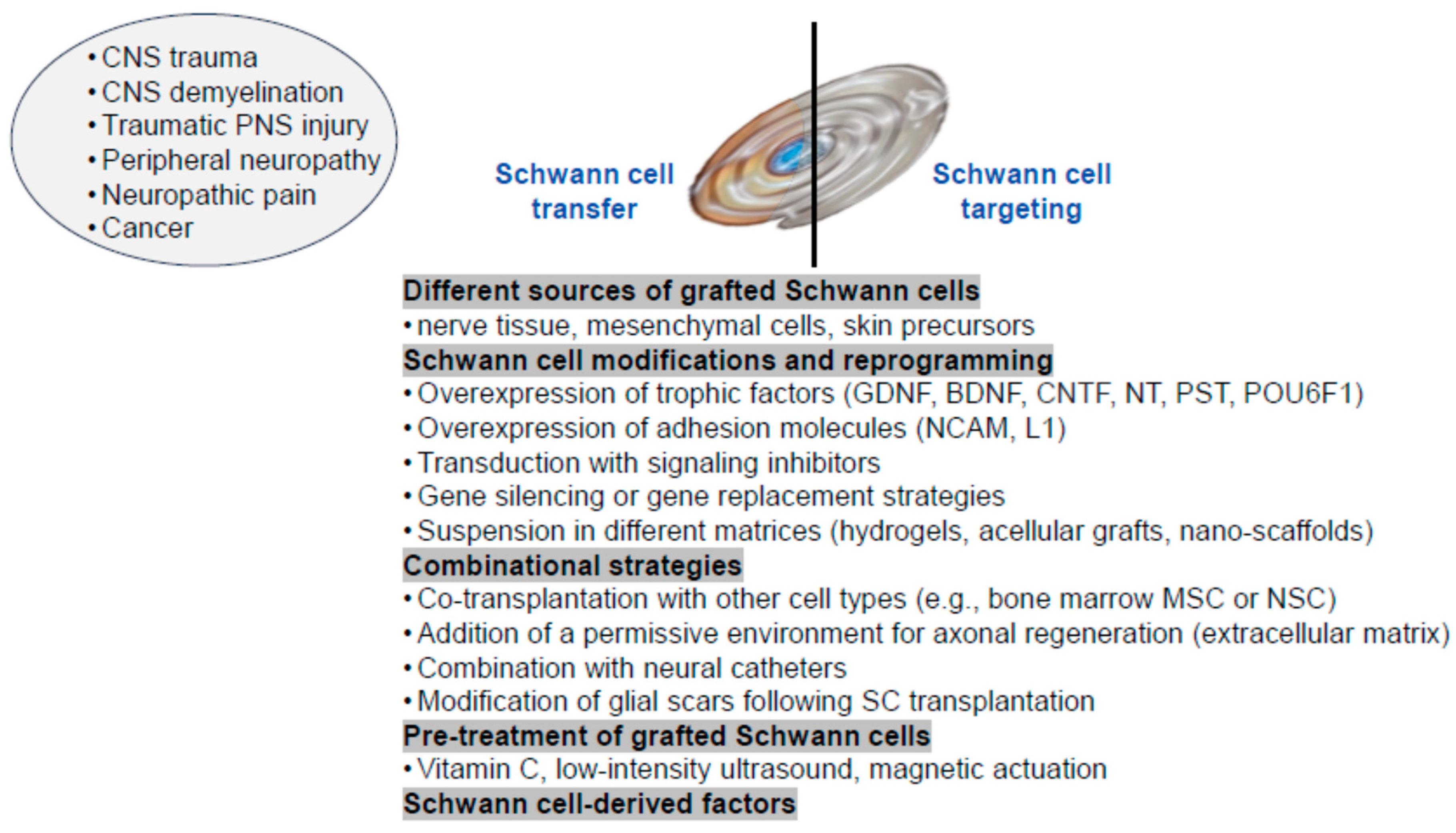 Preprints 170317 g002