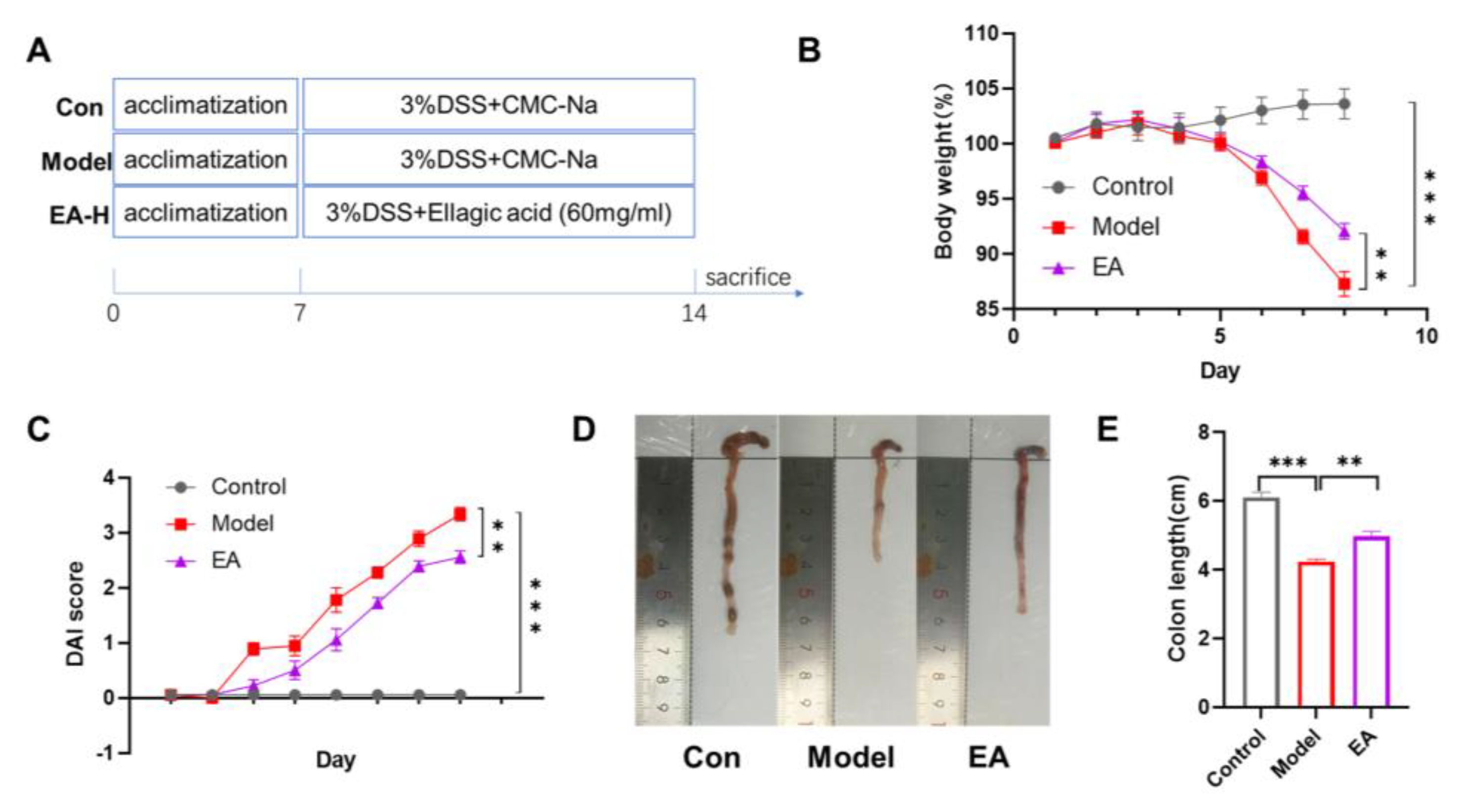 Preprints 196778 g005