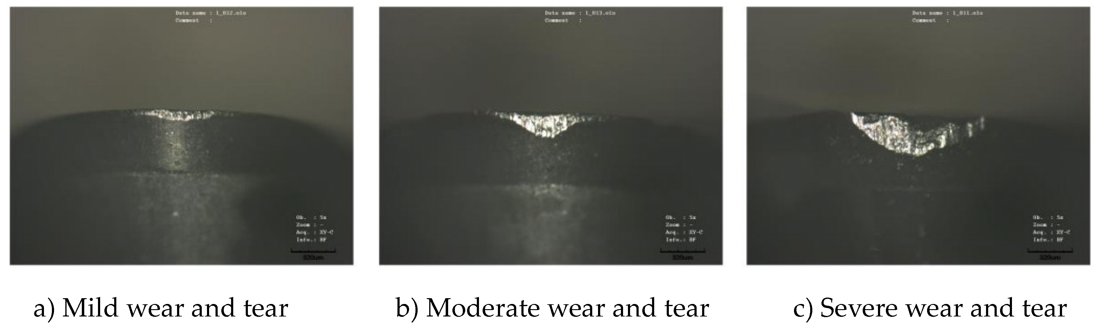 Preprints 139470 g001